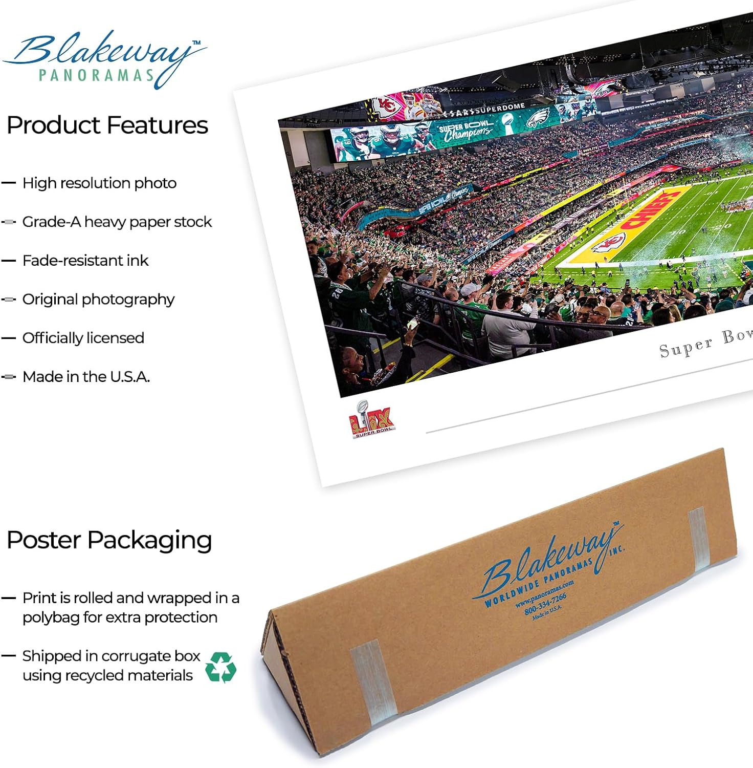 Super Bowl 2018 Champions, Philadelphia Eagles - NFL Panoramic Poster and Wall Décor by Blakeway Panoramas - Image 3