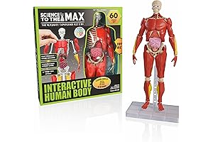 Be Amazing! Toys Interactive Human Body for Kids