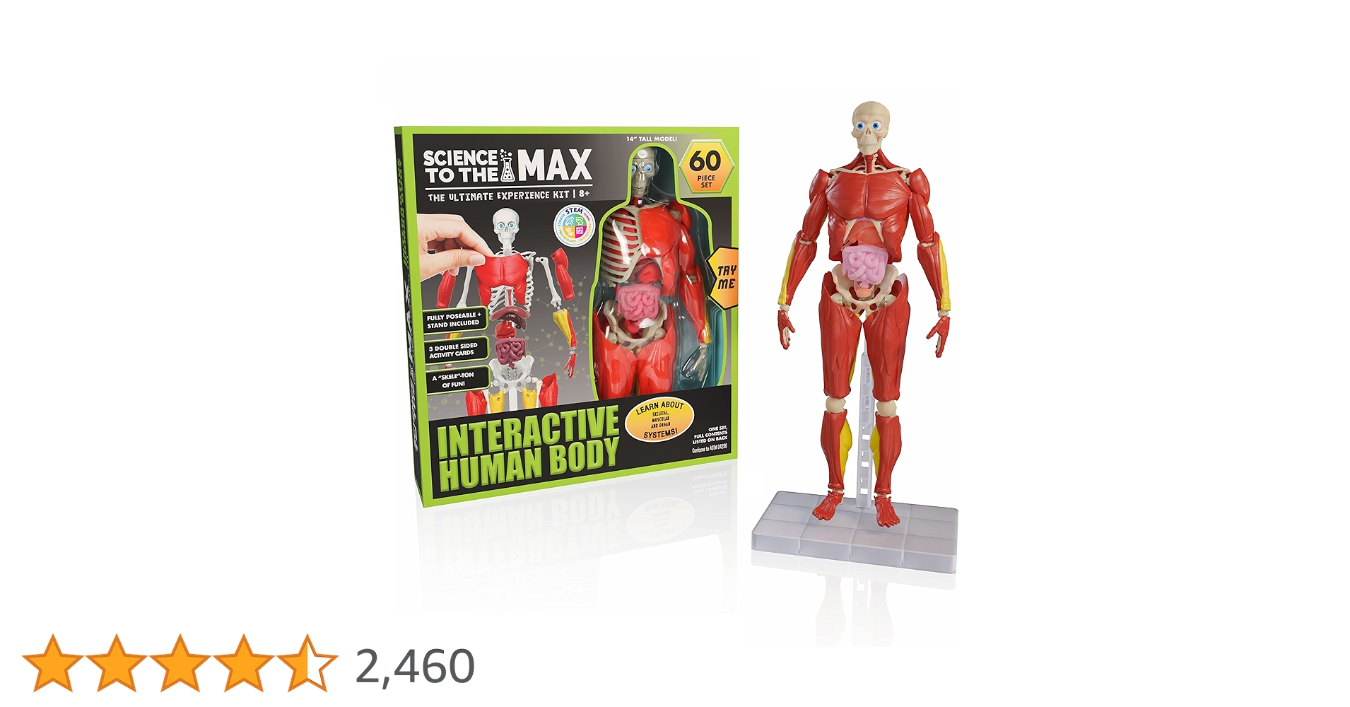 Amazon.co.jp: Science To The Max - Interactive Human Body