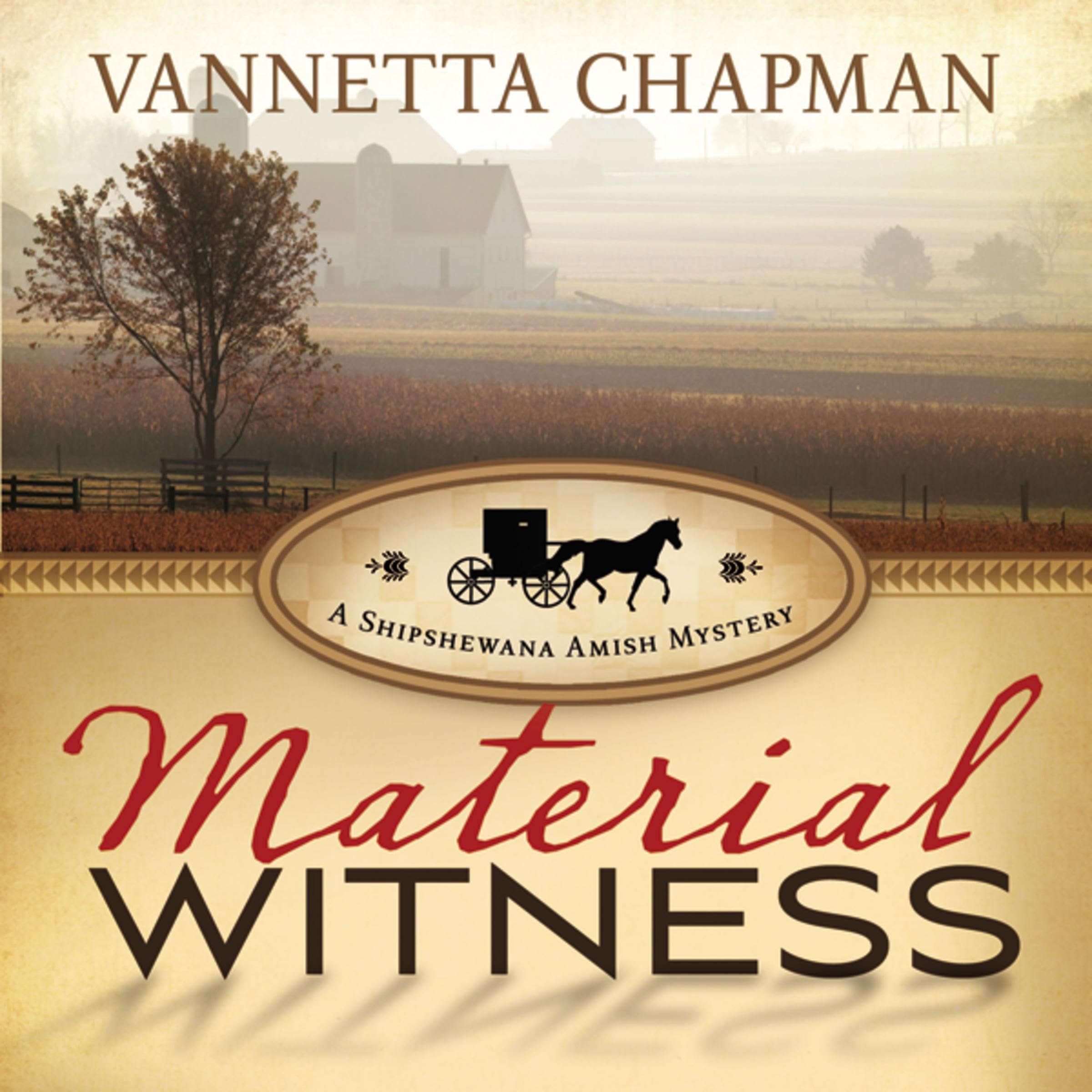 Cover art for Material Witness