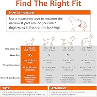 Vista 4 de Yaxa Basics Pañales para perros machos, 30 unidades, XS, ultra absorbentes, desechables, con ajuste seguro, a prueba de fugas y cómodos