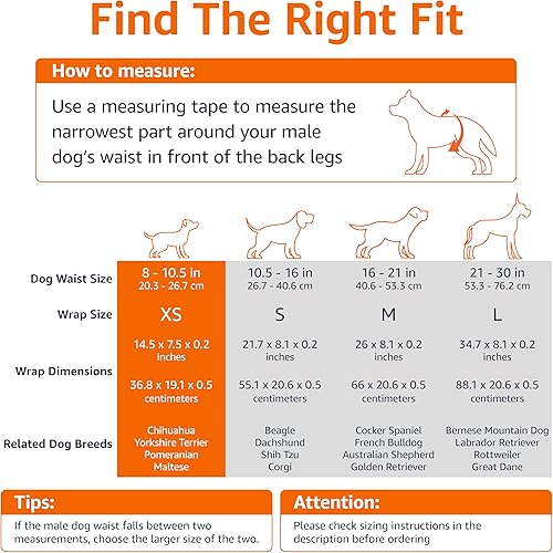 Miniatura 4 de Tienda Basics Pañales para perros machos, 30 unidades, XS, ultra absorbentes, desechables, con ajuste seguro, a prueba de fugas y cómodos