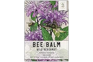 Seed Needs Wild Bergamot Bee Balm Seeds: Enhance Your Garden with Enchanting Pollinators