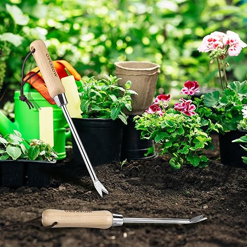 Miniatura 7 de WORKPRO Herramienta extractor de malezas de diente de león con mango de madera, herramienta de eliminación de malezas de jardín de acero inoxidable