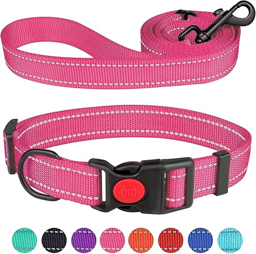 Juego de collar y correa reflectante para perro con hebilla de bloqueo de seguridad, collares de nailon para mascotas, ajustables para perros