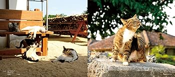 しまねこ 竹富島に暮らす猫 | ryuco, elmoeam |本 | 通販 | Amazon