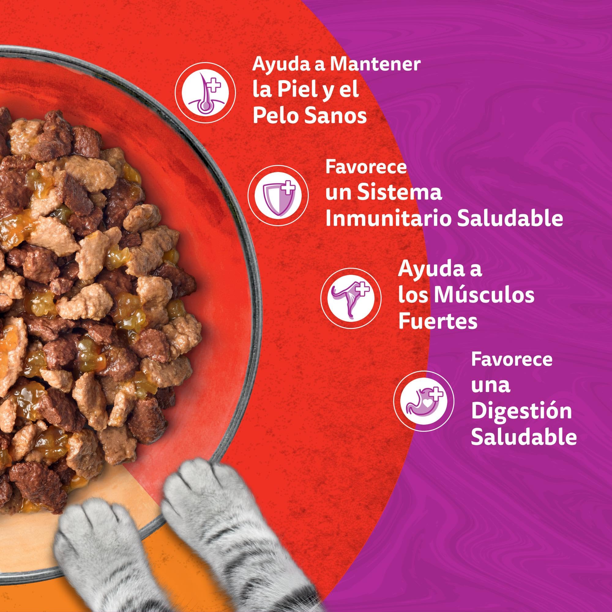 WHISKAS® Duo Comida húmeda en gelatina Gatos Adultos 4x85 g Comb. Clásicas (Paquete de 13) 52 Sobres