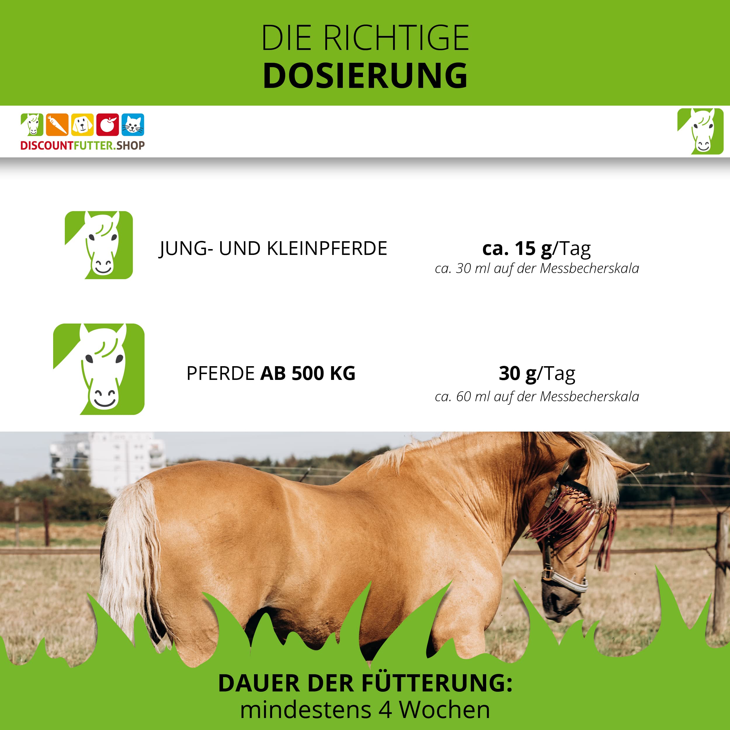 Vitamin B Kit I für Pferde (Pellet) I reichhaltig an B-Vitaminen + Biotin I Pferdefutter für harmonische Verdauung, Starkes Immunsystem (3 kg)