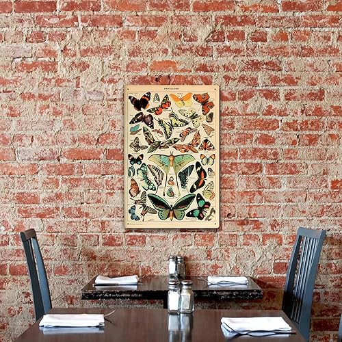 Miniatura 4 de Letrero de metal con diseño de mariposas vintage, varias mariposas, identificación educativa, tabla de referencia, para el hogar, escuela, aula, 8 x