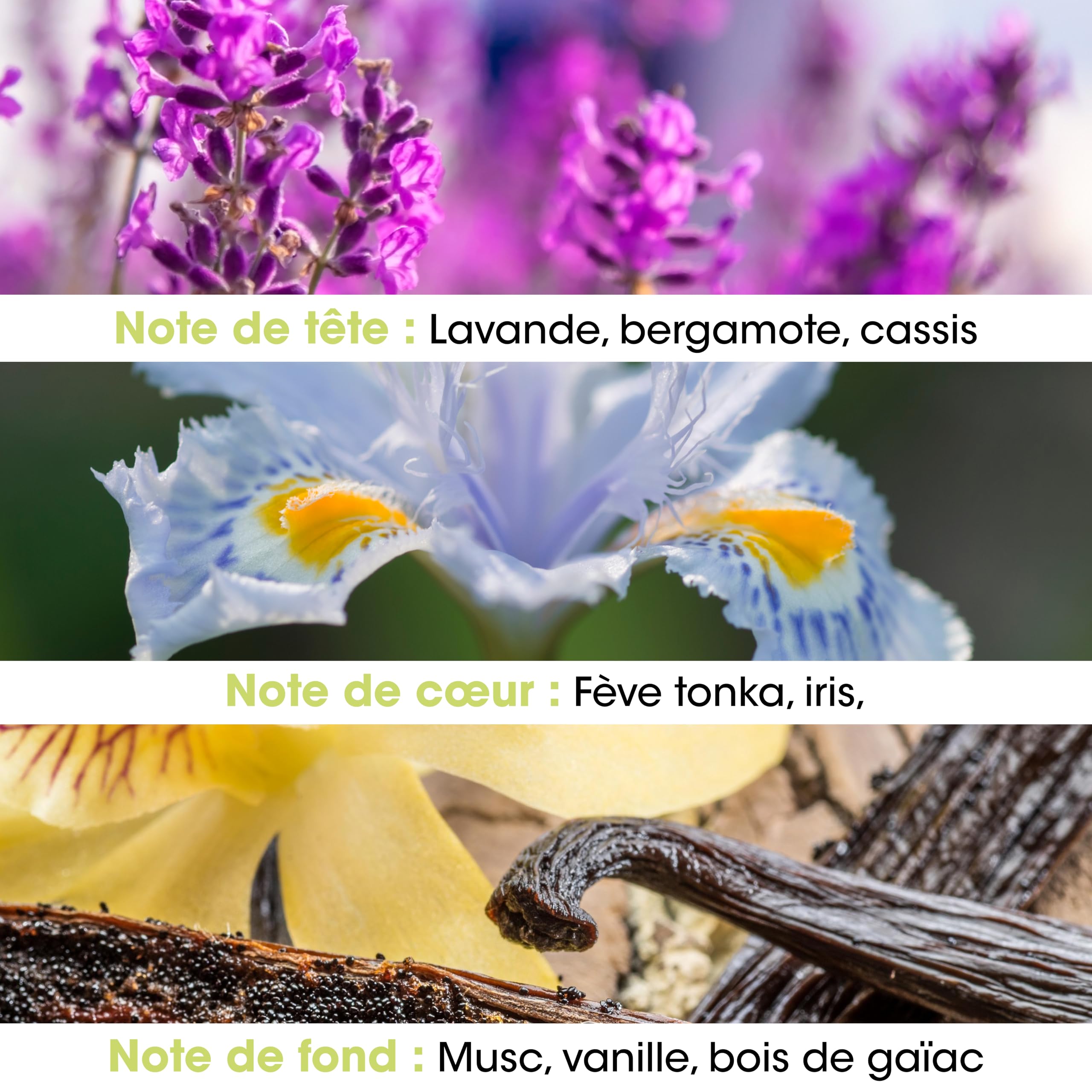 JEANNE EN PROVENCE - Woda toaletowa dla mężczyzn - Zapach lawendy I Vetiver - Składniki pochodzenia naturalnego - Wyprodukowano we Francji - Butelka 100 ml