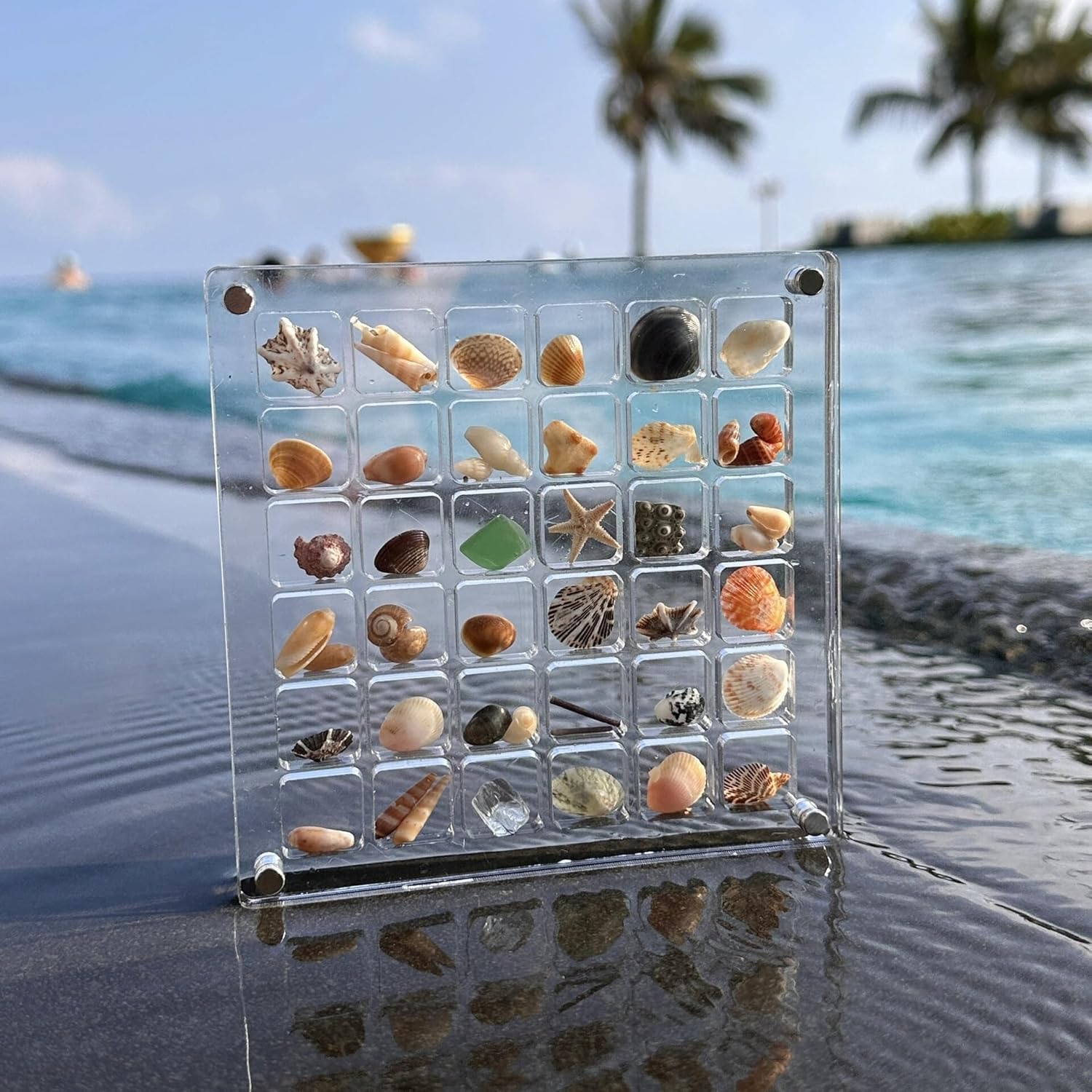 Amazon.com: Square Acrylic Seashell Storage Box - Transparent Mini Box ...