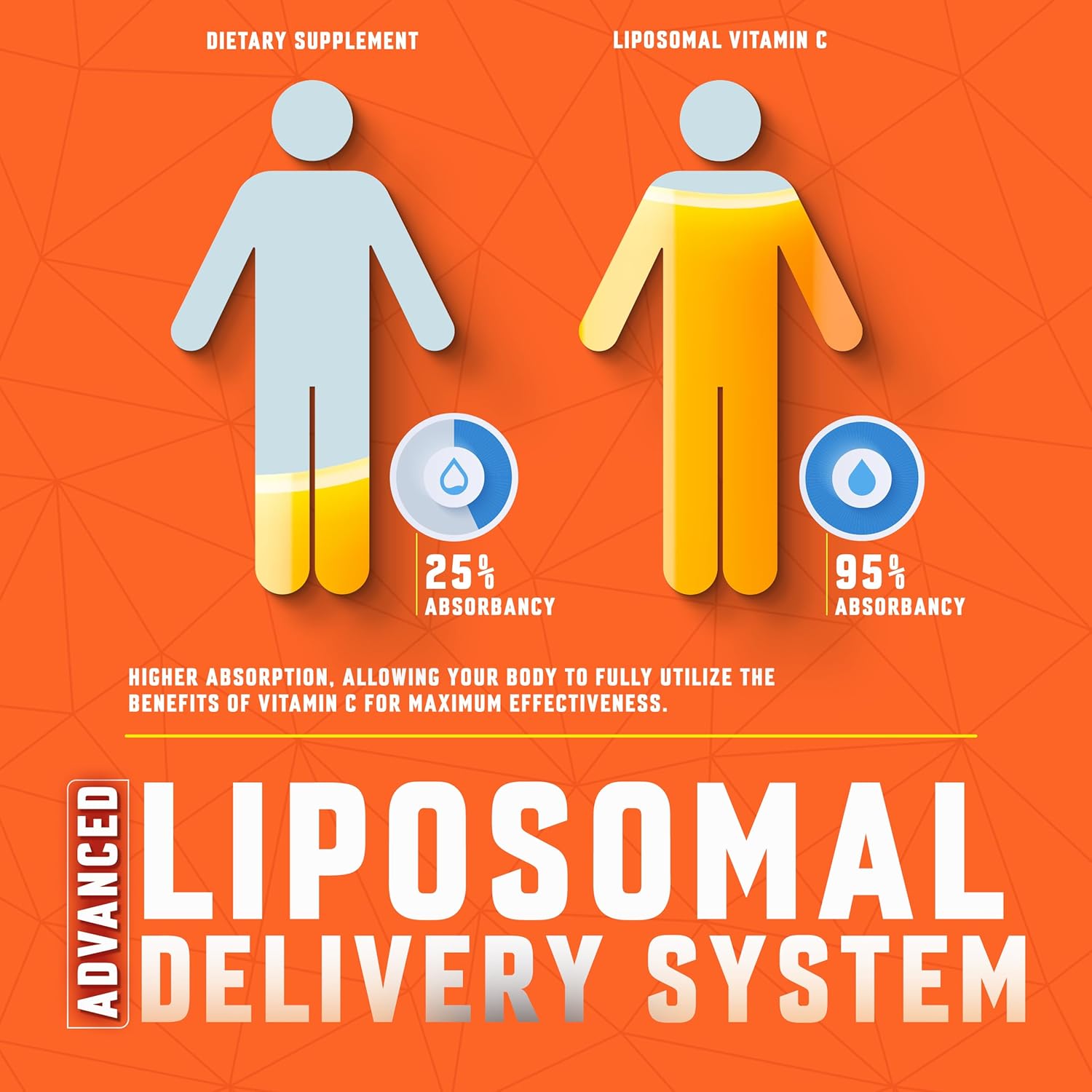 Liposomal Vitamin C Liquid – High Absorption Immune Support & Antioxidant Boost | Advanced Liposomal Delivery, Non-GMO, Vegan-Friendly Vitamin C Supplement, 4 Fl Oz