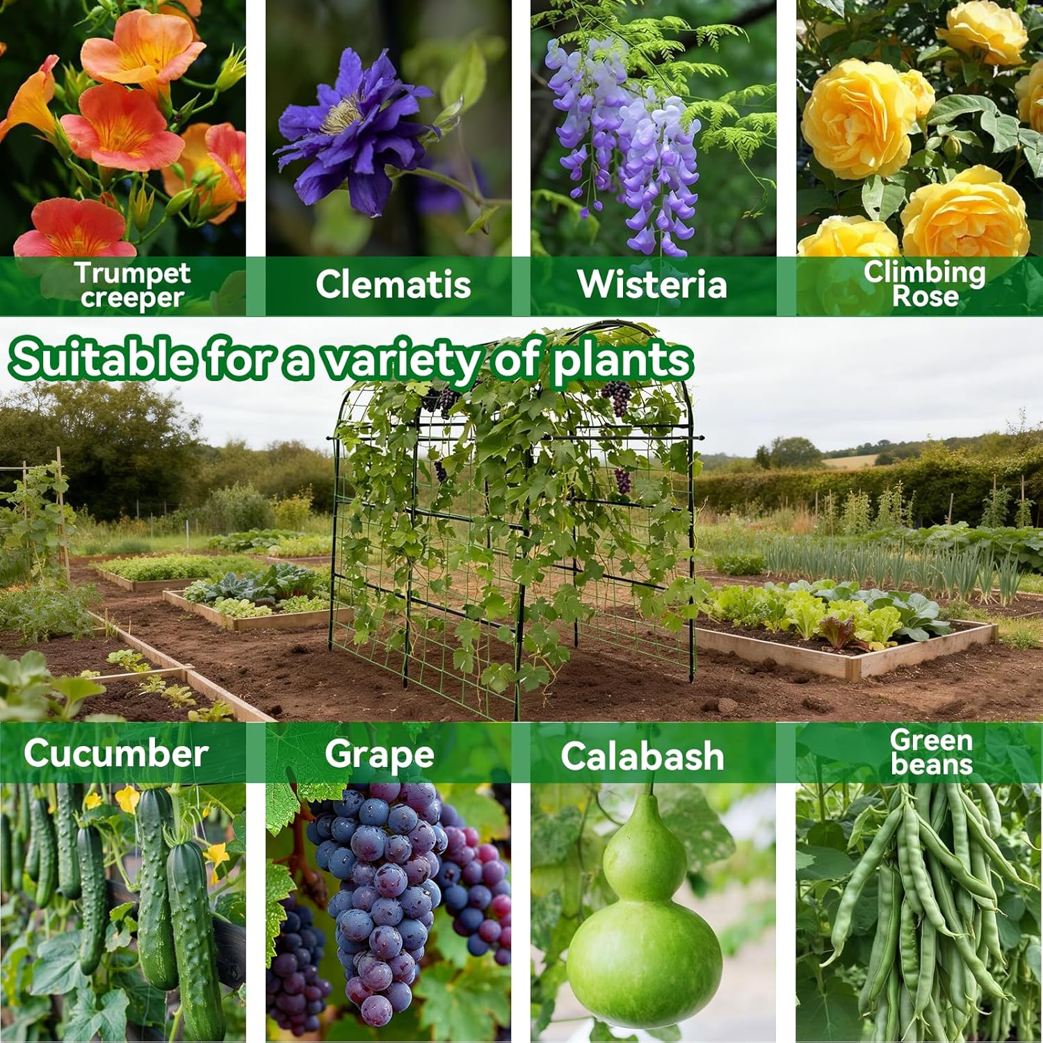 Garden Arch Trellis for Climbing Plants Outdoor - 83" H*71" W*43" L Large Rustproof Garden Trellis, Heavy Duty Grape Trellis, Tunnel Trellis for Melons, Pumpkins, Cucumbers, Peas(Black)