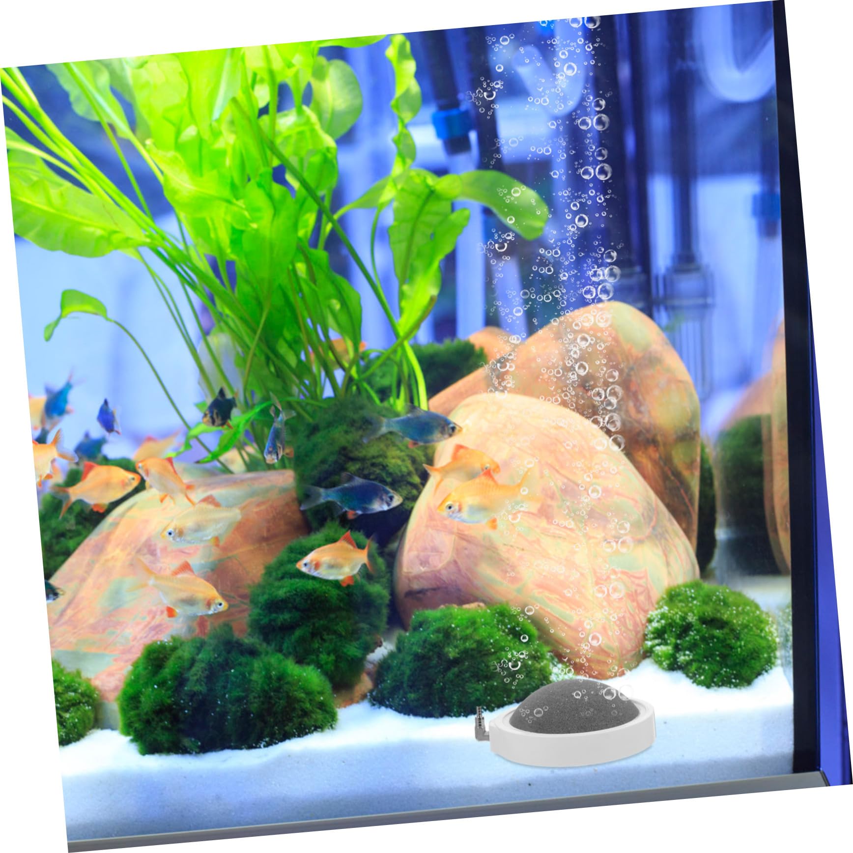 Happyyami 2piezas Piedra De Aire para Acuario Difusor De Burbujas Silencioso Aumenta La Oxigenación Tanques De Peces y Sistemas Hidropónicos De Fácil De Instalar