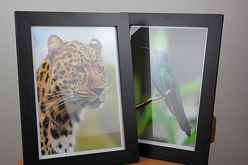 Miniatura 7 de PPD 50 hojas de papel fotográfico brillante de inyección de tinta súper premium de 85 x 11 pulgadas 68 libras 899ozm 105 mil tamaño carta