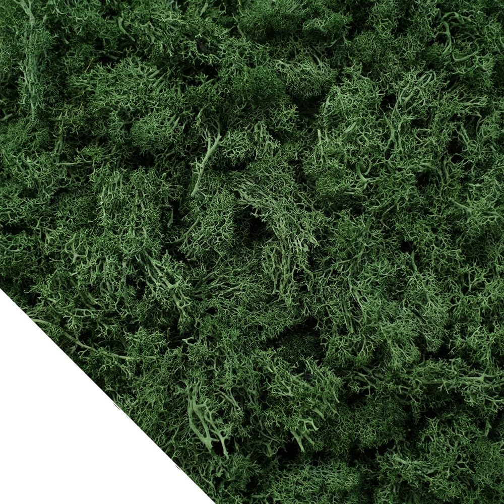 HZLXF1 100g Eternal Life Moss Artificial Plants,DIY Crafts Grass Garden Home Room Decor Mini Landscape Fake Grass(A003)
