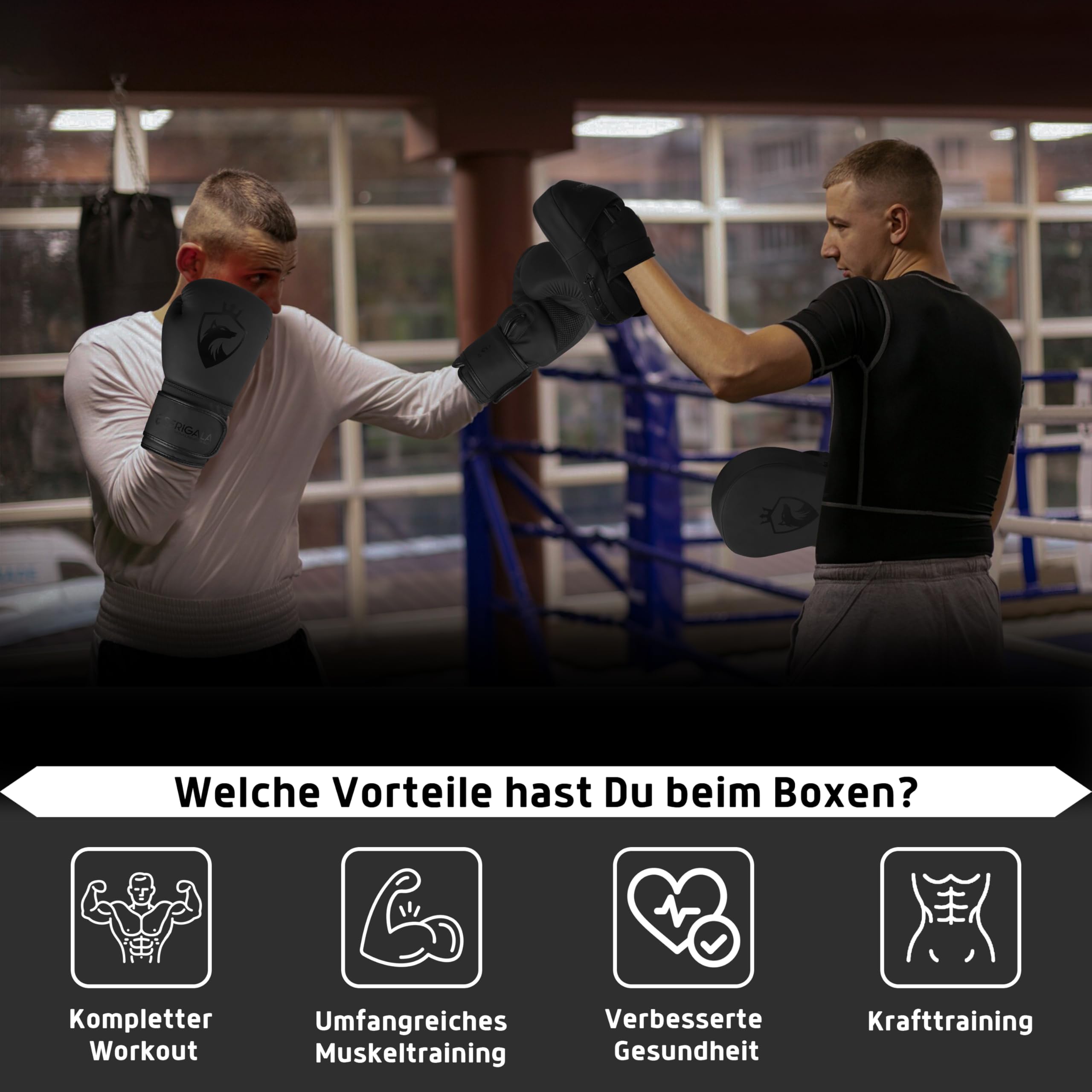 Serigala Boxpratzen Set mit idealer Polsterung und Stabilität - Pratzen Boxen für Kampfsport - 2 Handpratzen für Boxen, Kickboxen, Muay Thai - Inklusive Tasche schwarz/schwarz