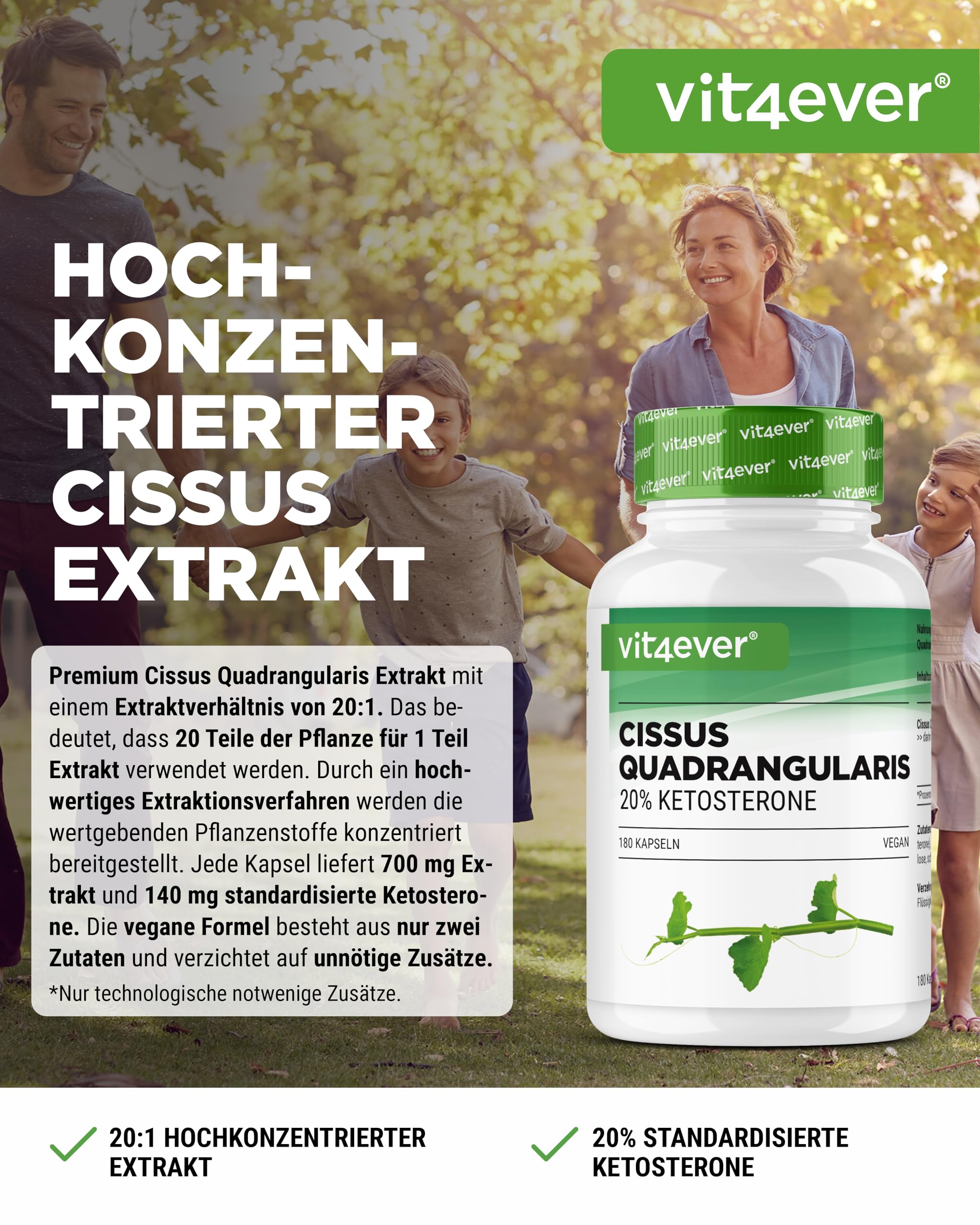 vit4ever Cissus Quadrangularis - 180 Kapseln - 700mg - 20% Ketosterone | 700mg Extrakt pro Kapsel, 140mg Ketosterone, 6 Monate Vorrat