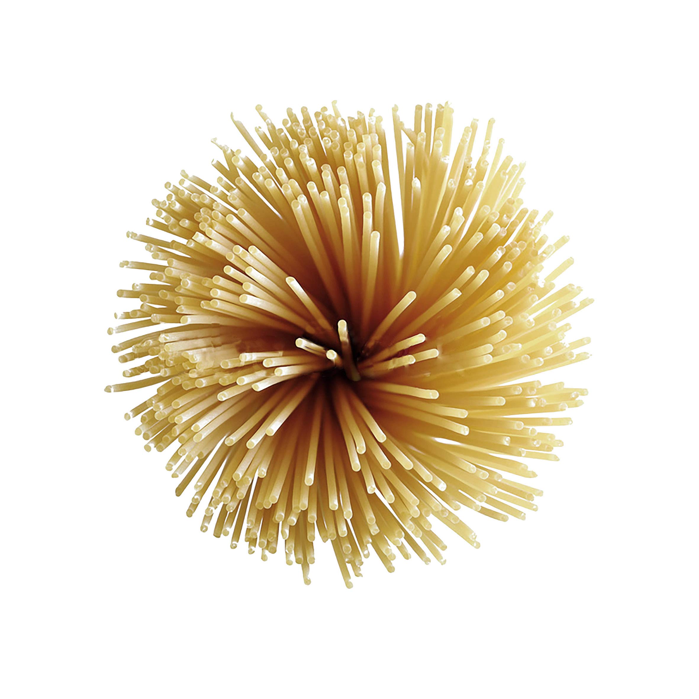 Antico Pastificio Morelli 1860 Srl Spaghetti Kochen 8 Minuten, typische regionale Pasta, 6 Packungen à 1 kg