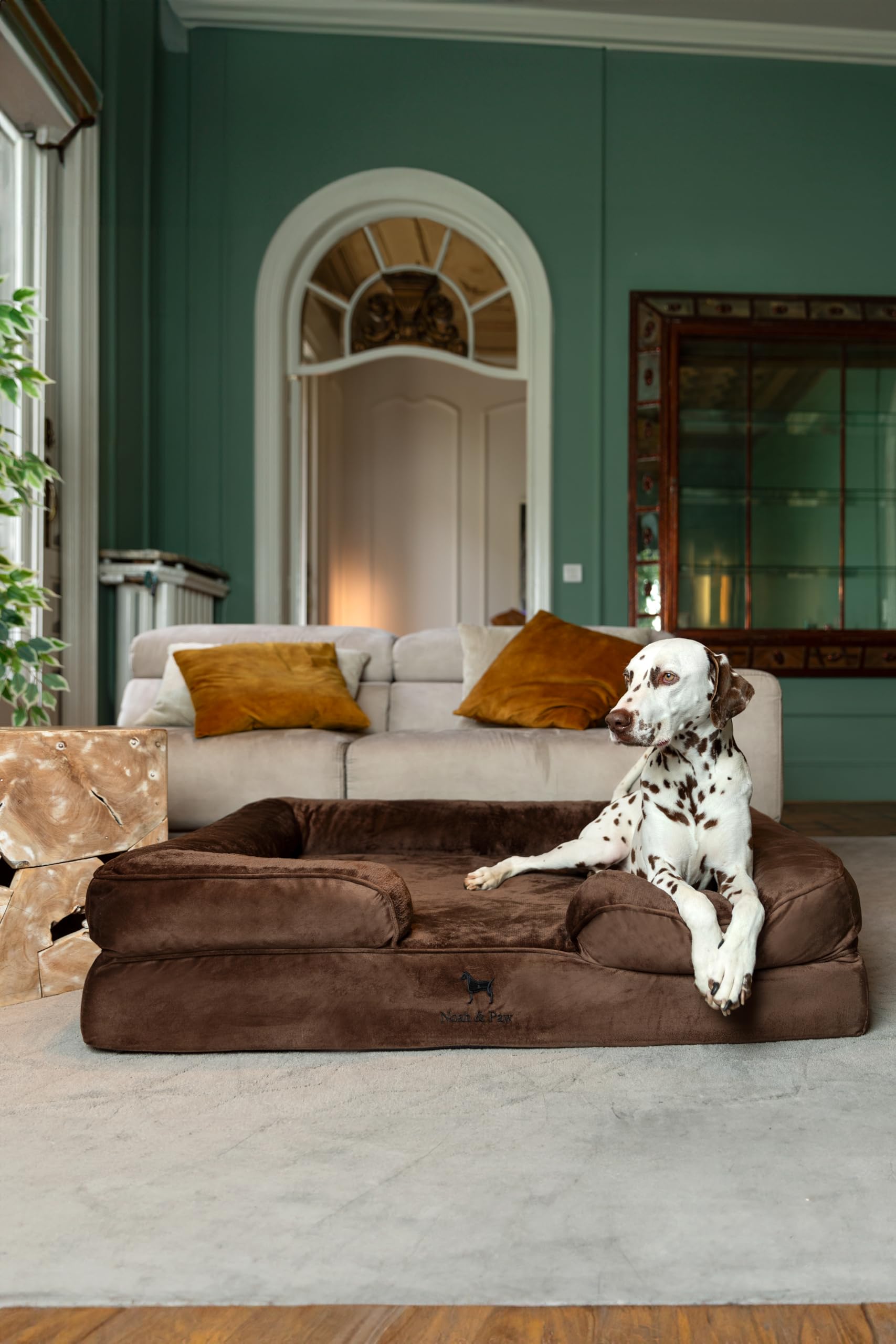 NOAH & PAW XL Dog Bed, 45x35x11 Inch, Orthopedic Large Dog Beds, Eggshell Memory Foam Infused with Cooling Gel, Inner Cover, Waterproof, Machine Washable (Velvet Sofa Collection) - image 3