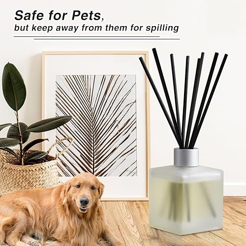 Miniatura 4 de Brakula Juego de difusores de varillas  Difusor de aceite aromático perfumado de bambú y té blanco con 10 varillas para decoración de habitación,