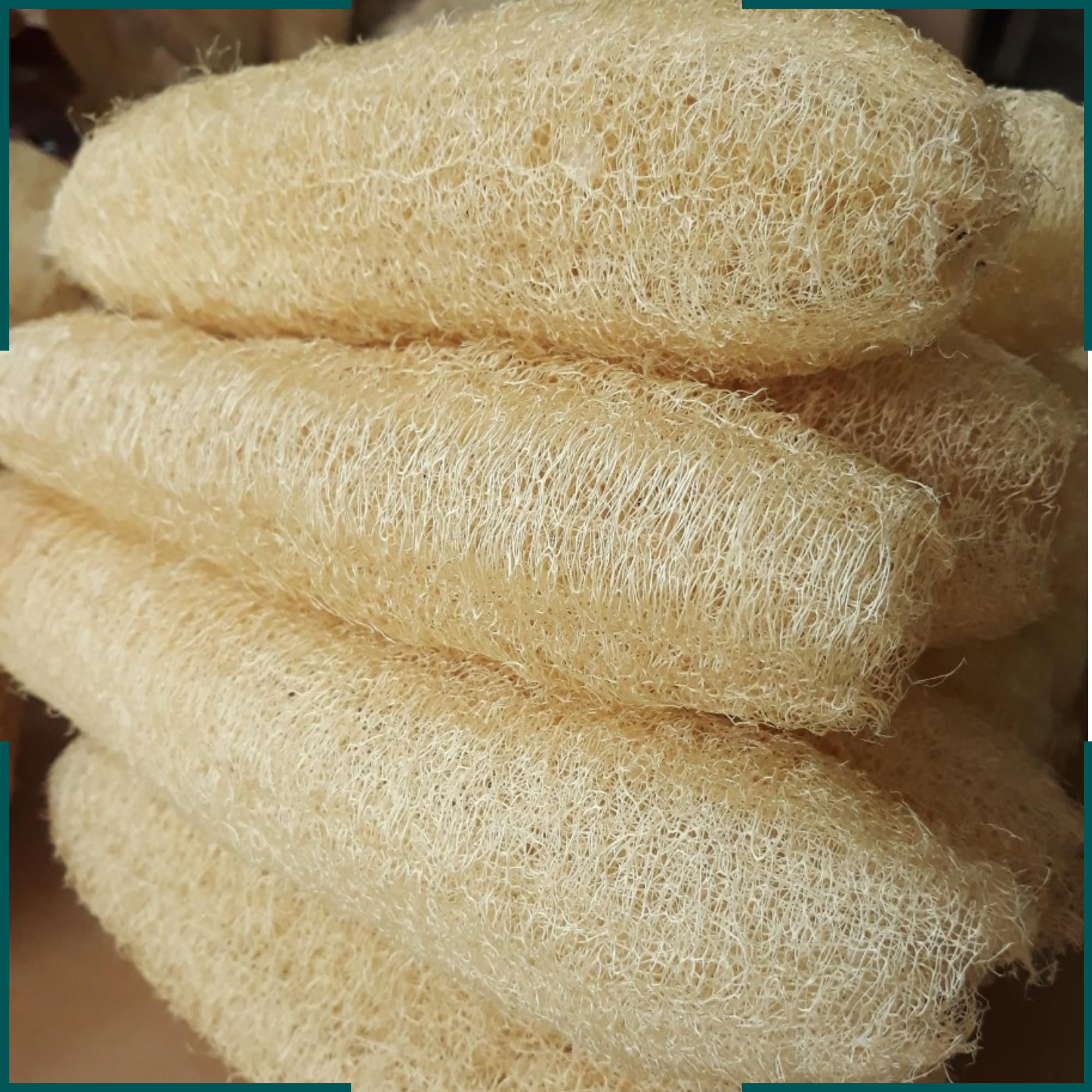 Esponja vegetal natural (5 a 7 pulgadas), esponja exfoliante corporal de lufa, esponja de lufa, esponja de lufa, lufa, lufa entera (paquete de 5)