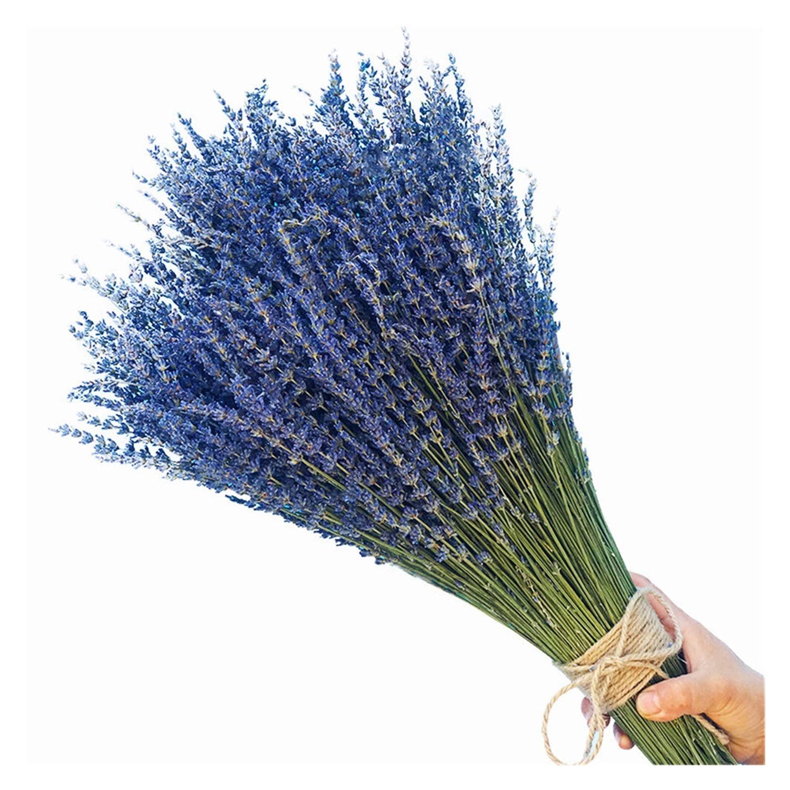Fleurs séchées naturelles paquets de lavande pour bouquet décoratif