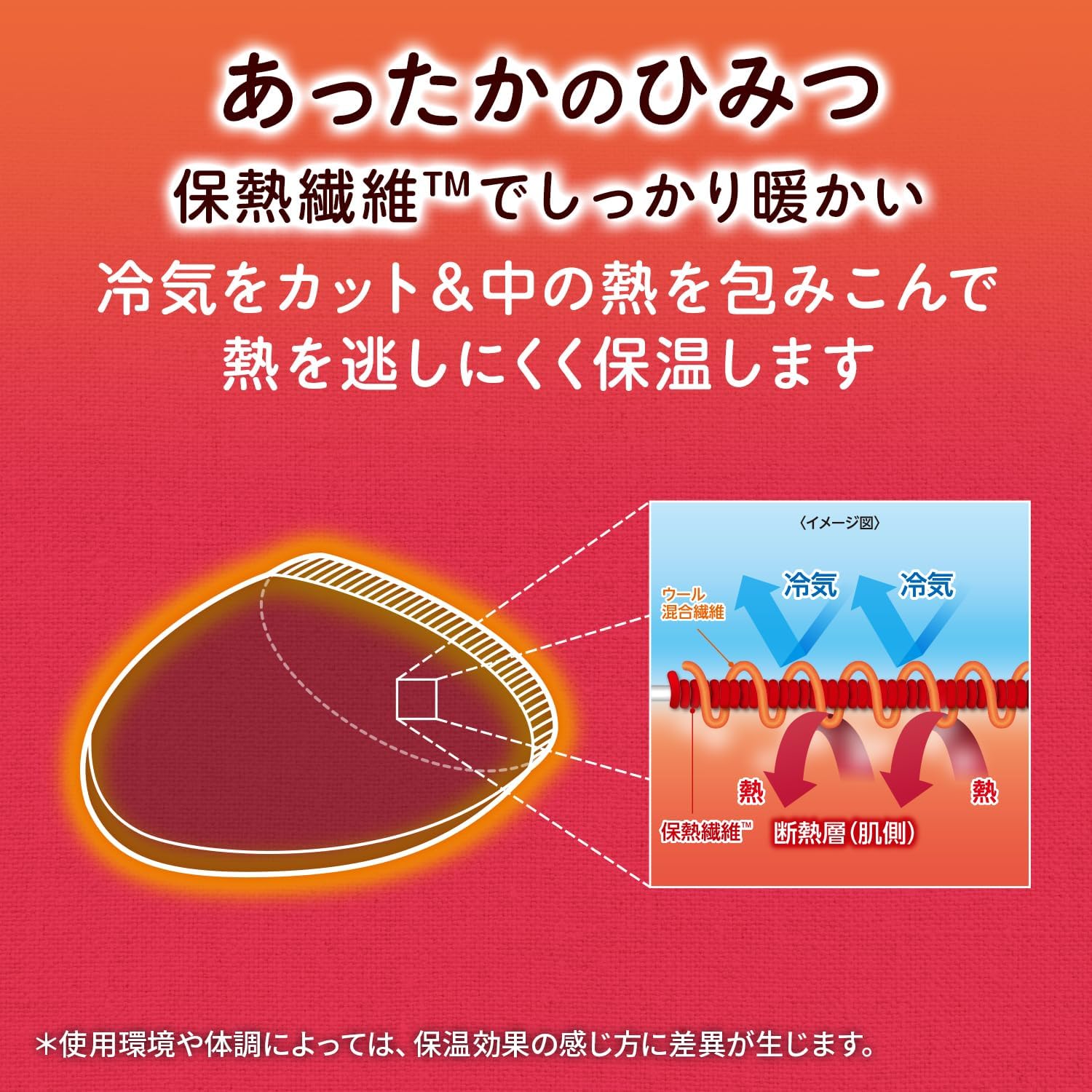 [小林製薬] 桐灰 足の冷えない不思議な靴下 つま先インナーソックス 1足分 ブラック