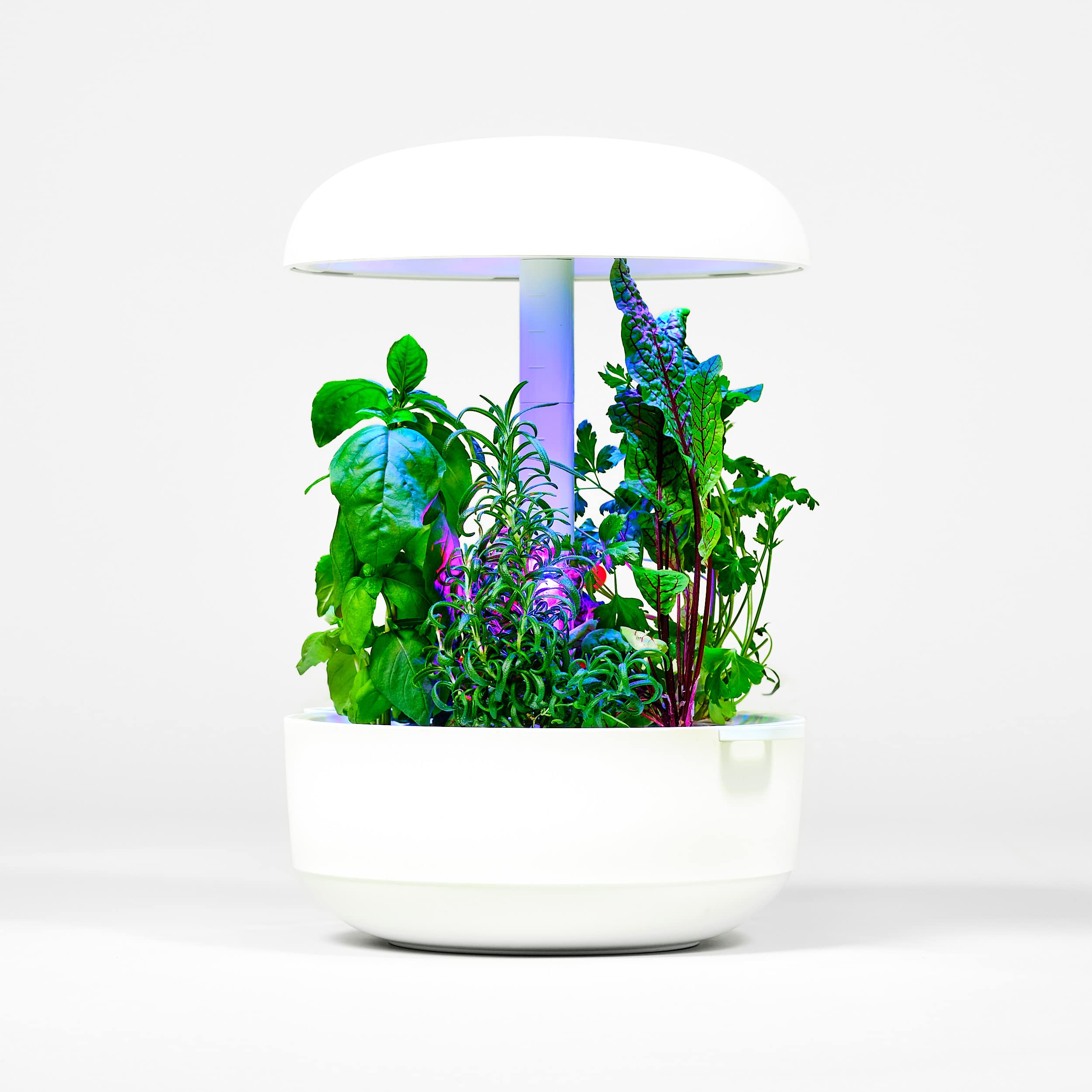 Pompe de Remplacement Compatible avec Les appareils de Jardinage intelligents Plantui