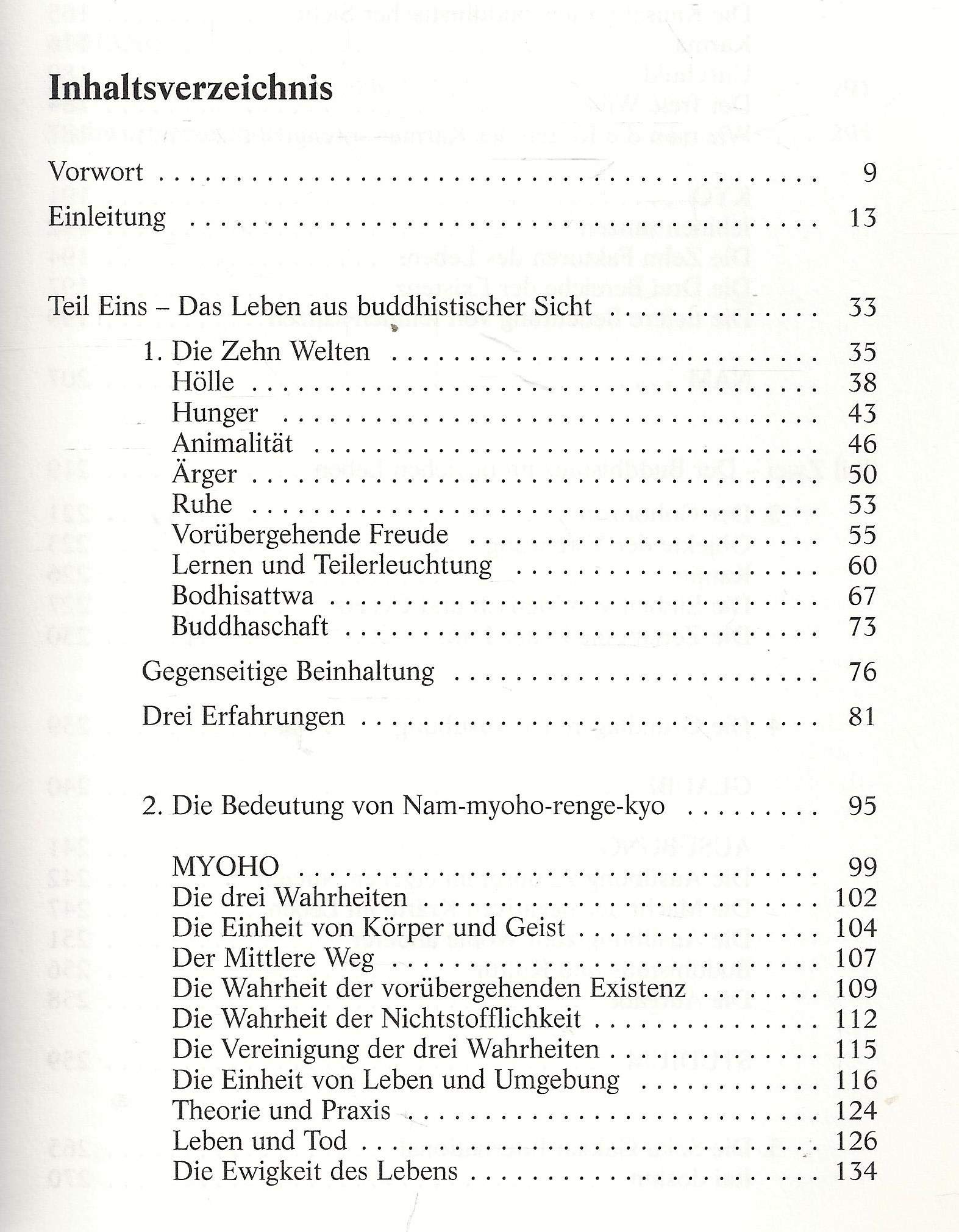 Der Buddha des Alltags: Einführung in den Budhismus Nichiren Daishonins