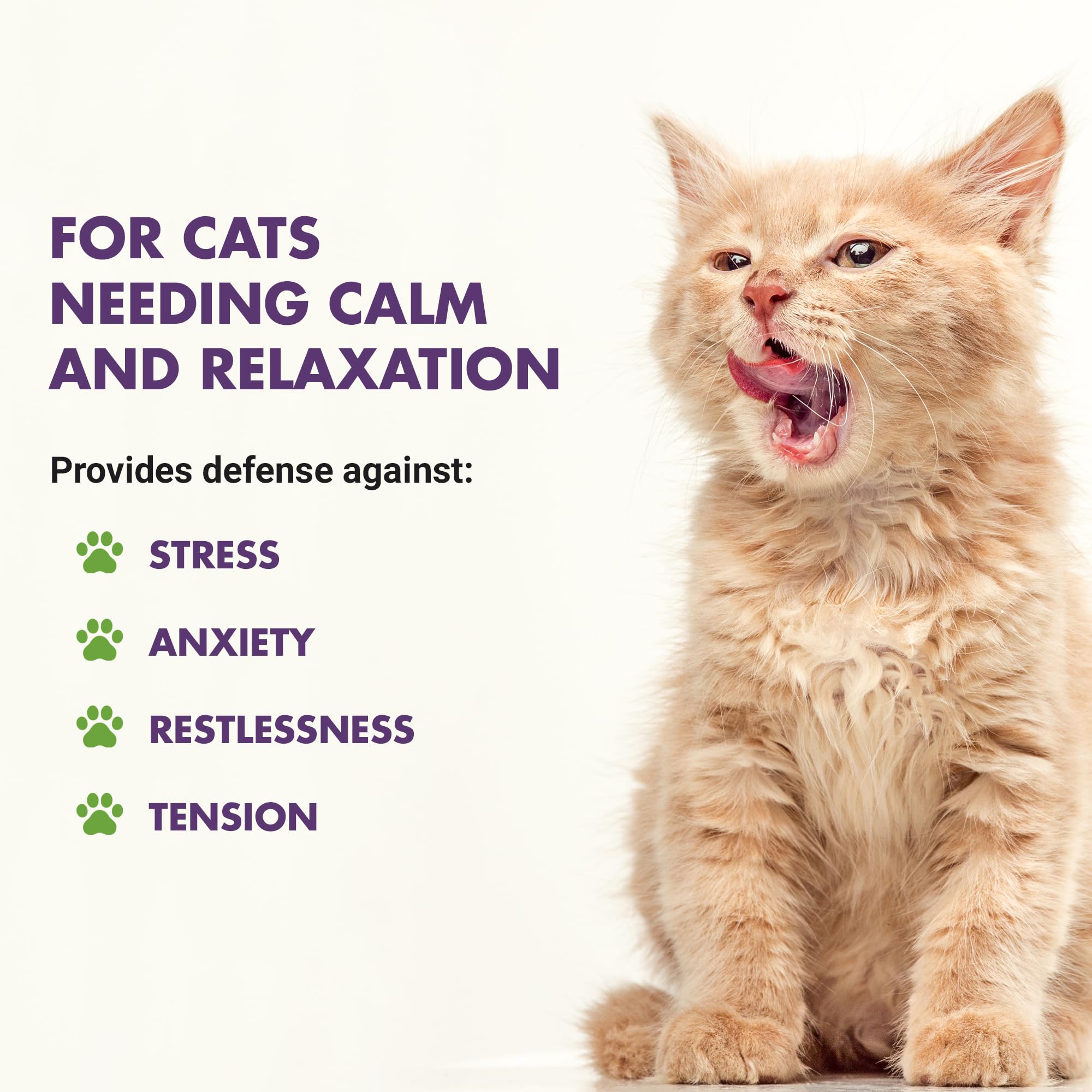 LIQUID-VET Advanced Cat Calming Care Formula with Chamomile & L-Theanine – Ultimate Cat Calm and Solution for Daily Mental Support and Relaxation - image 2