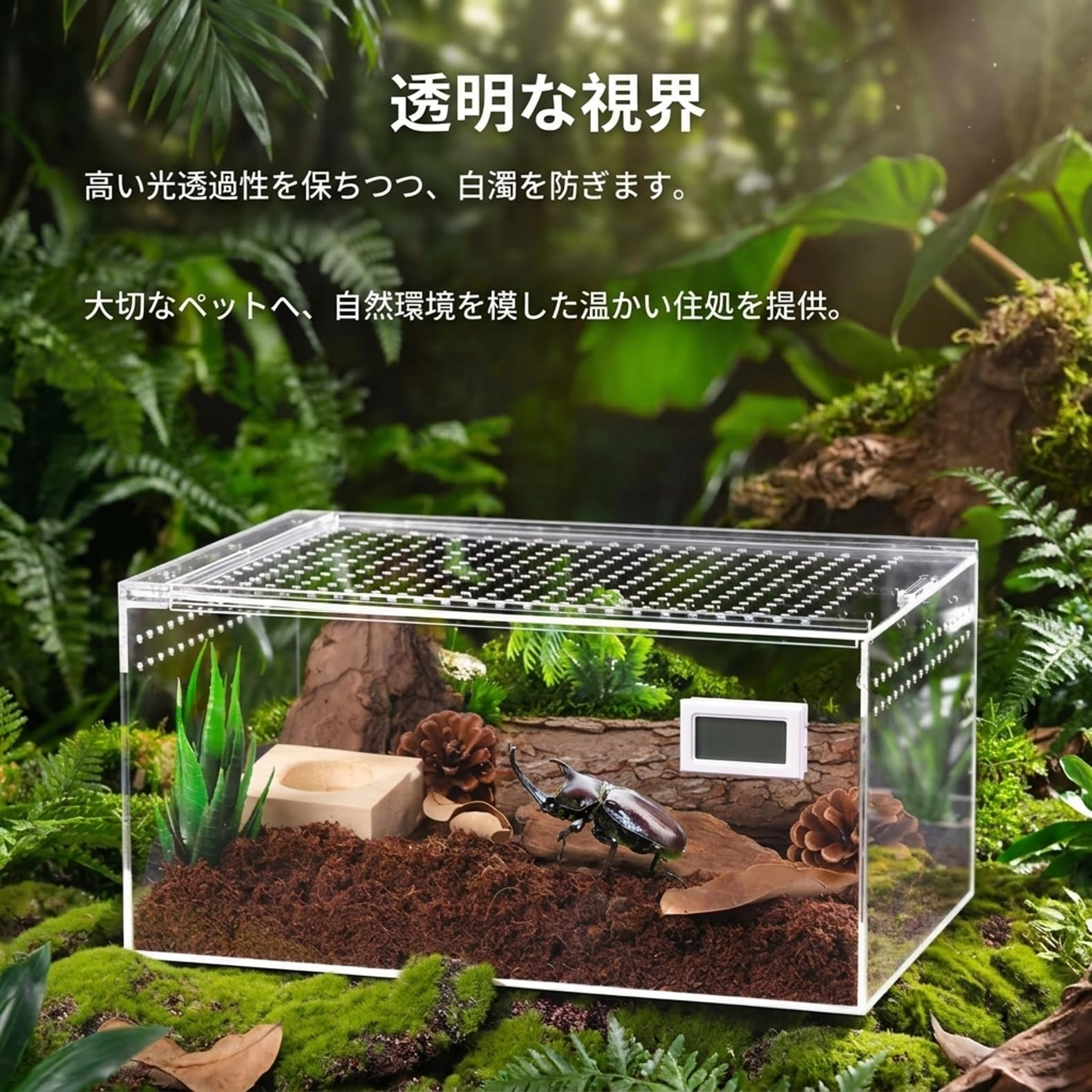 Amazon | カブトムシ・クワガタ・ヘラクレスオオカブト成虫用飼育