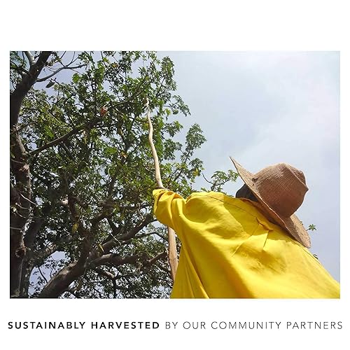 Miniatura 5 de KAIBAE Té orgánico Baobab Wellness  Aumenta la inmunidad y beneficia la salud digestiva  Hoja suelta (4 onzas)