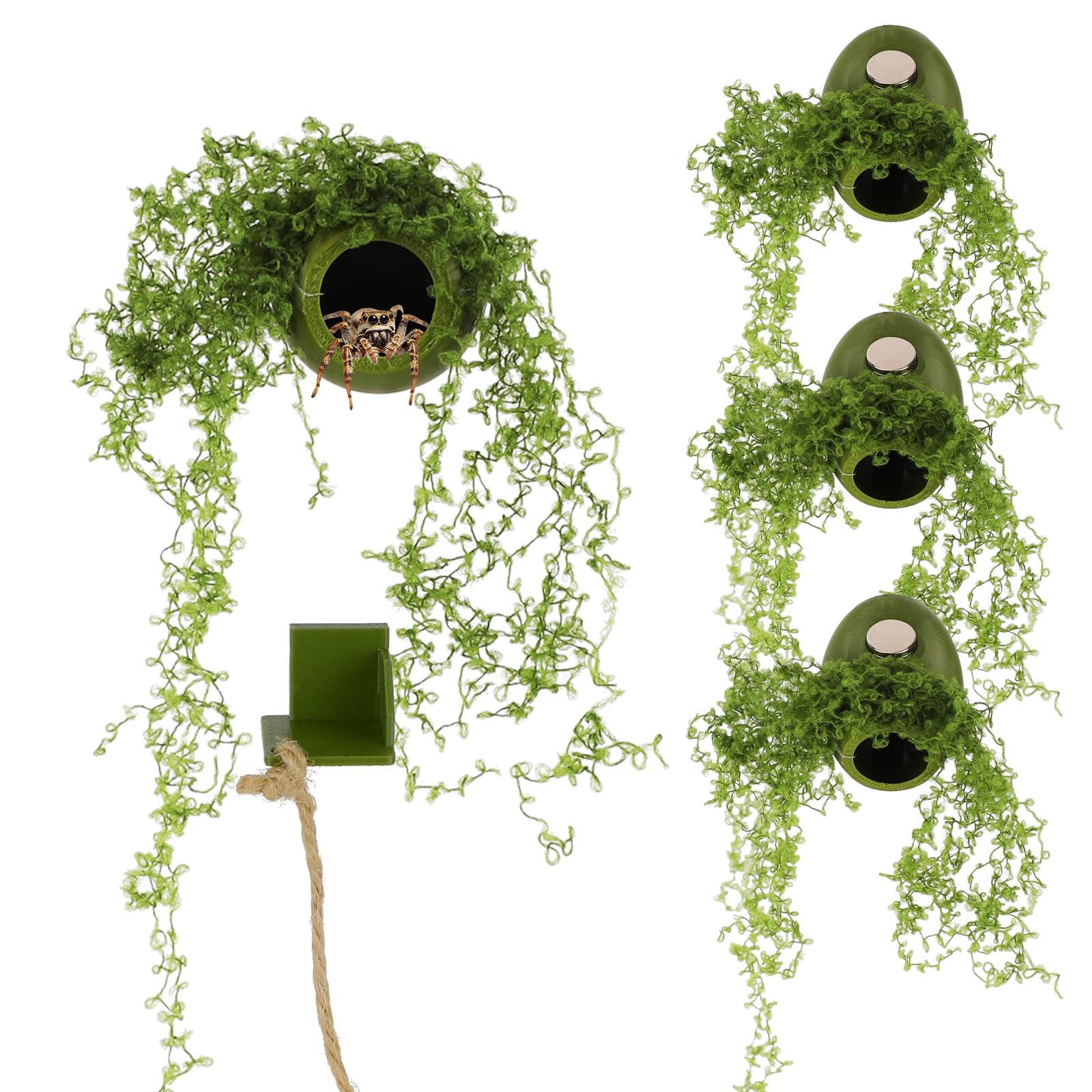NQEUEPN 4pcs Magnetic Jumping Spider Hideouts Nest & Resting Platform
