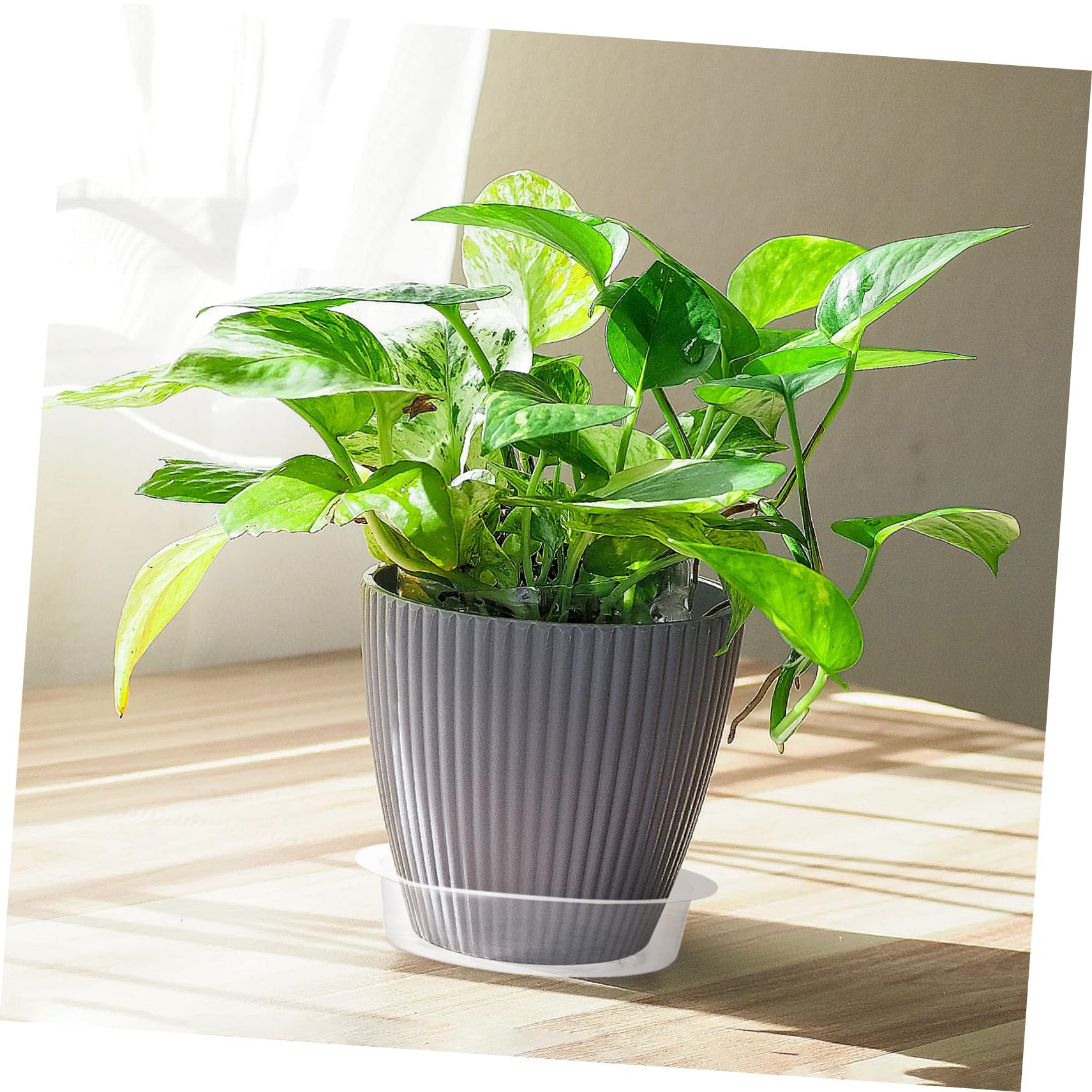 Abaodam 50 Stück Pflanzenuntersetzer Kunststoff Blumentopf Untersetzer für Gartenprojekte zur Verhinderung von Wasserschäden für Dekoration Zuhause