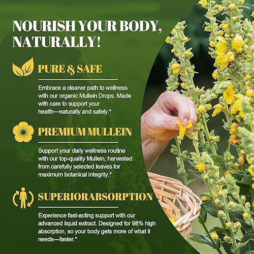 Miniatura 7 de Gotas de gordolobo para pulmones, limpieza y desintoxicación pulmonar, apoyo respiratorio, extracto de hoja de gordolobo con tomillo, saúco, NAC,