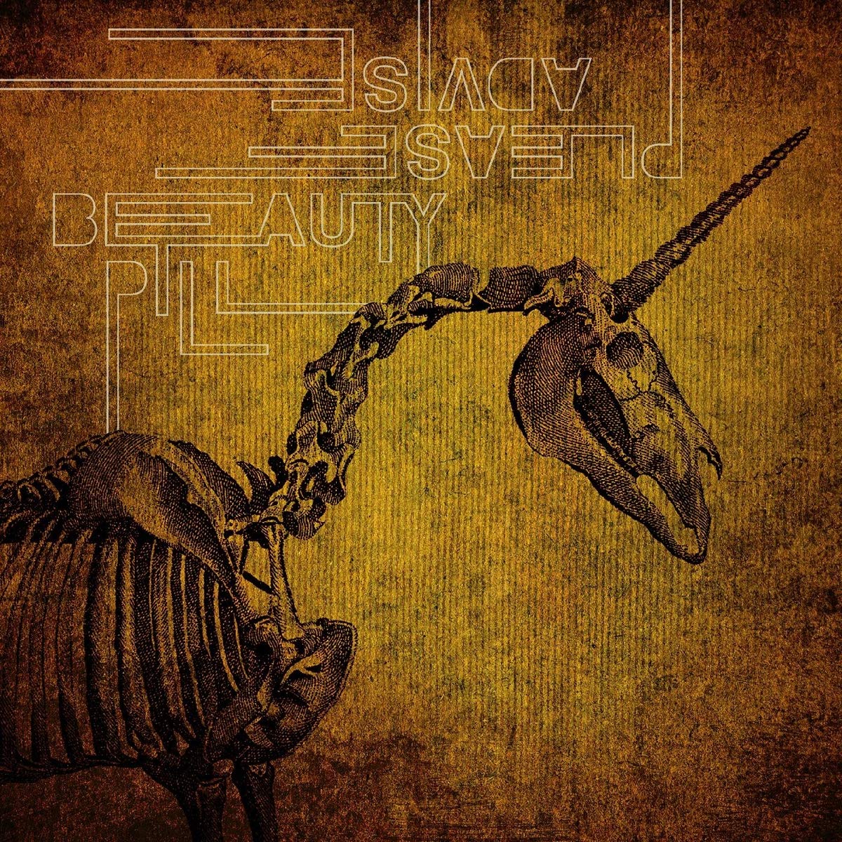 Please Advise by Beauty Pill (CD, 2020)