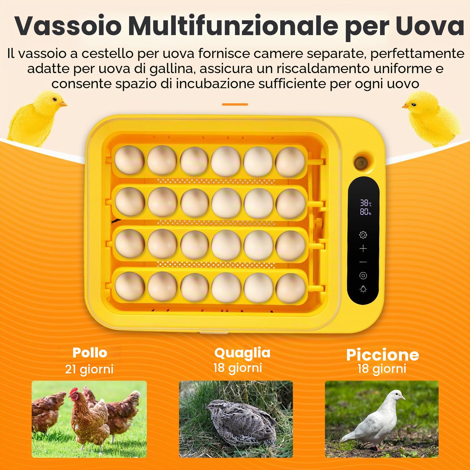 Sailnovo - 24 incubatrici per polli, altri uccelli + 20 uova + incubatrice completamente automatica + controllo della temperatura + indicatore di umidità + aggiunta di acqua esterna - giallo