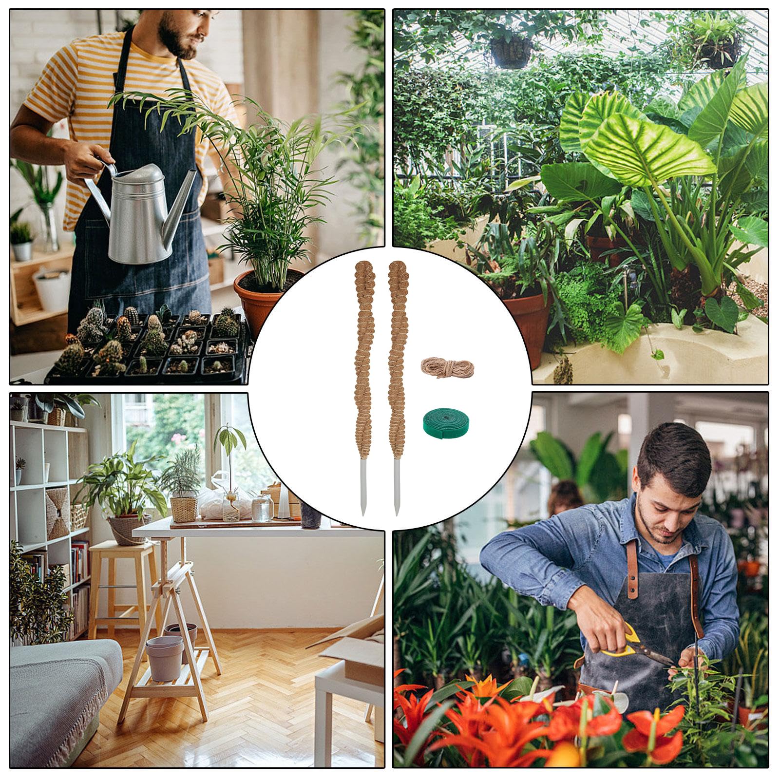 Lot de 2 piquets en mousse pour Monstera, 63,5 cm pour plantes d'intérieur flexibles, avec corde de 1,5 m, idéal pour les plantes grimpantes pour faire pousser des plantes