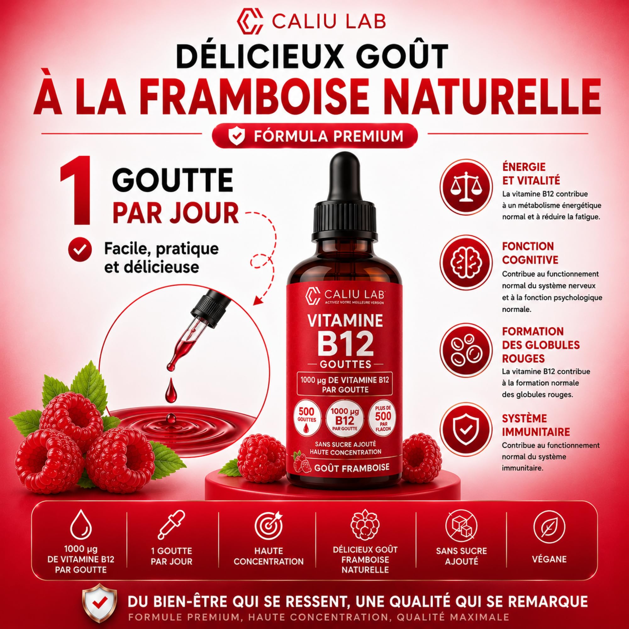 Vitamine B12 Méthylcobalamine Sublinguale | 100 ml Gouttes Liquides | Haute Concentration en Vitamine B12 Active | Complément Alimentaire pour l'Énergie, le Système Nerveux et le Métabolisme