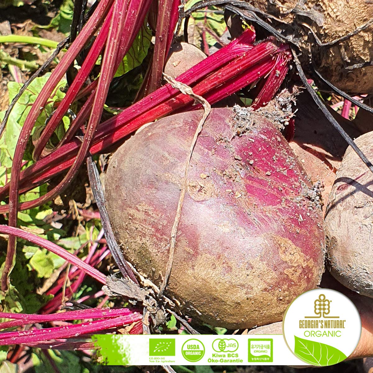 Natural Organic Beet Juice AllNatural, Cold Pressed Pure