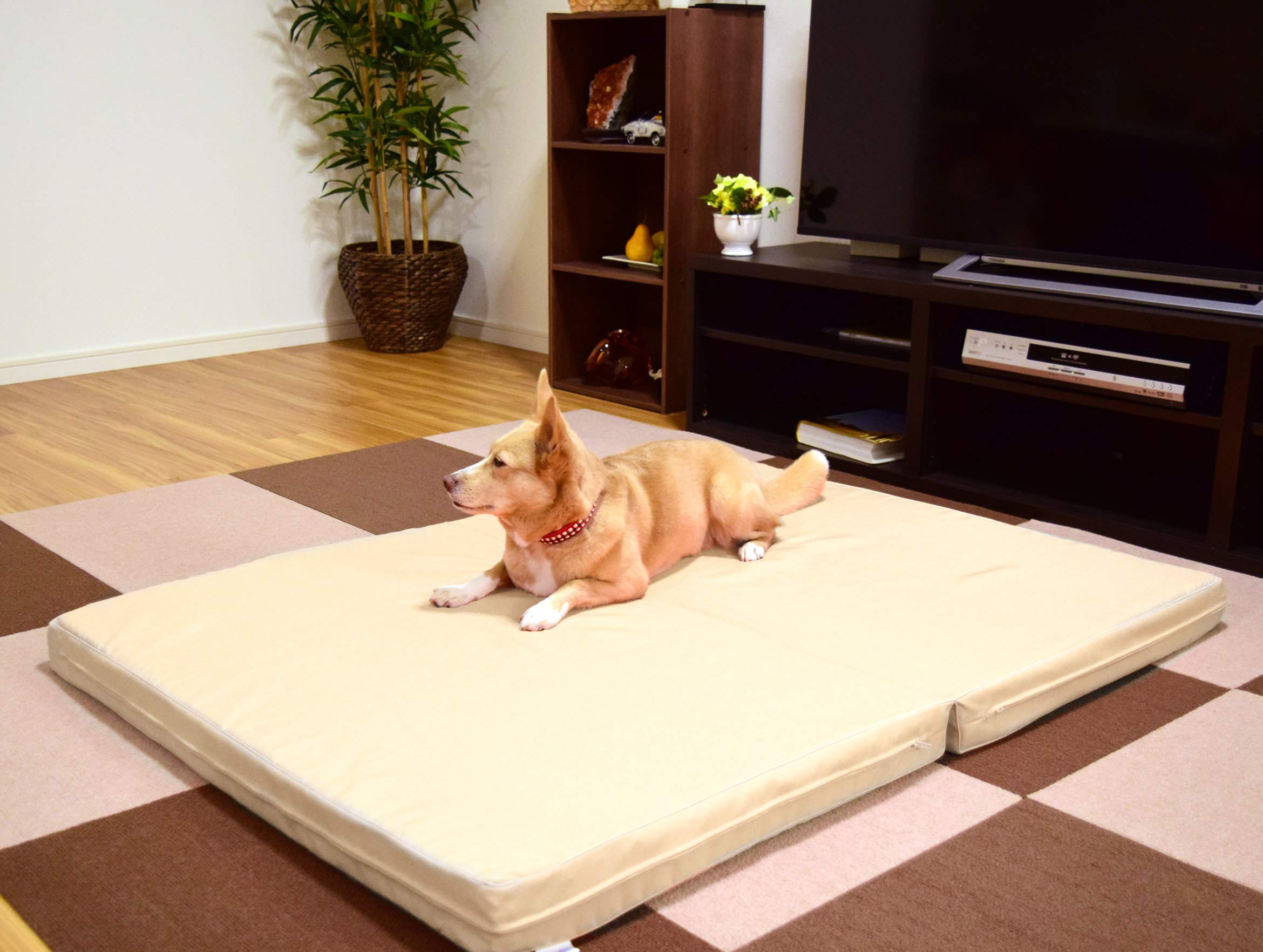 Amazon | 老犬用 ペットケアマットNEO/L (ベージュ) | 爽快潔リビング 