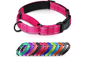 neoprene dog collars martingale