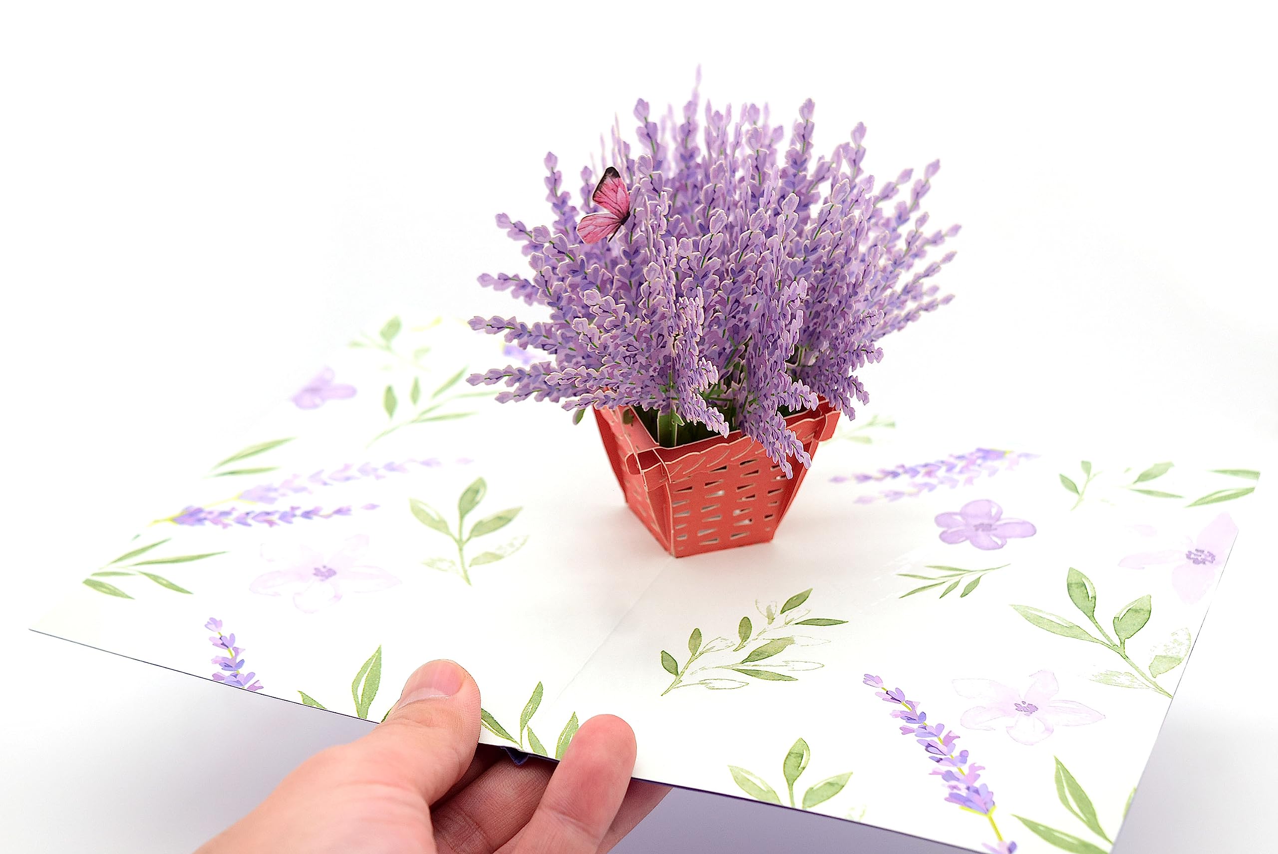 Pièce à Main Dentaire SANDENT 45 000 Tr/min Pour Polissage Et Fraisage - 2,35 Mm