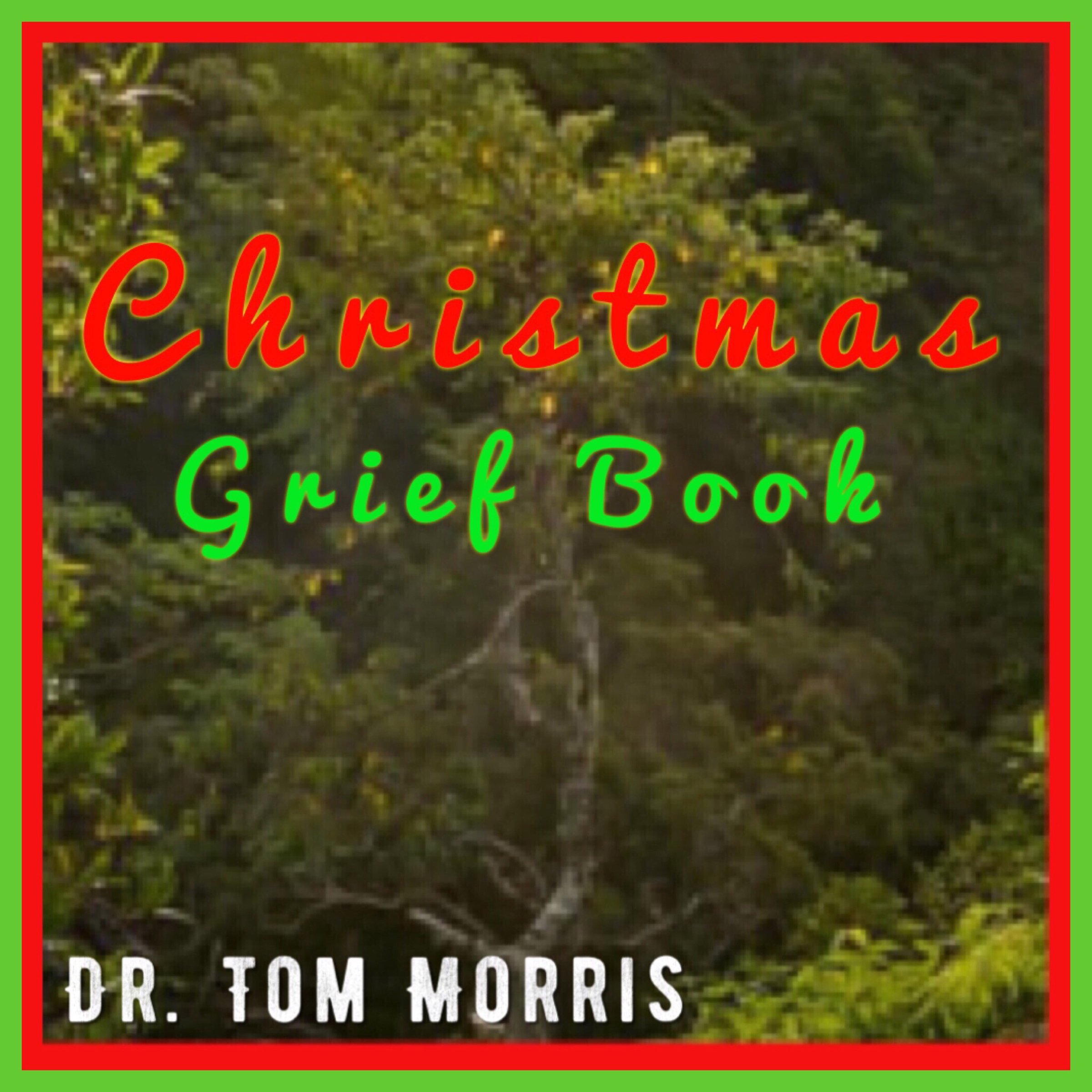 Christmas Grief Book