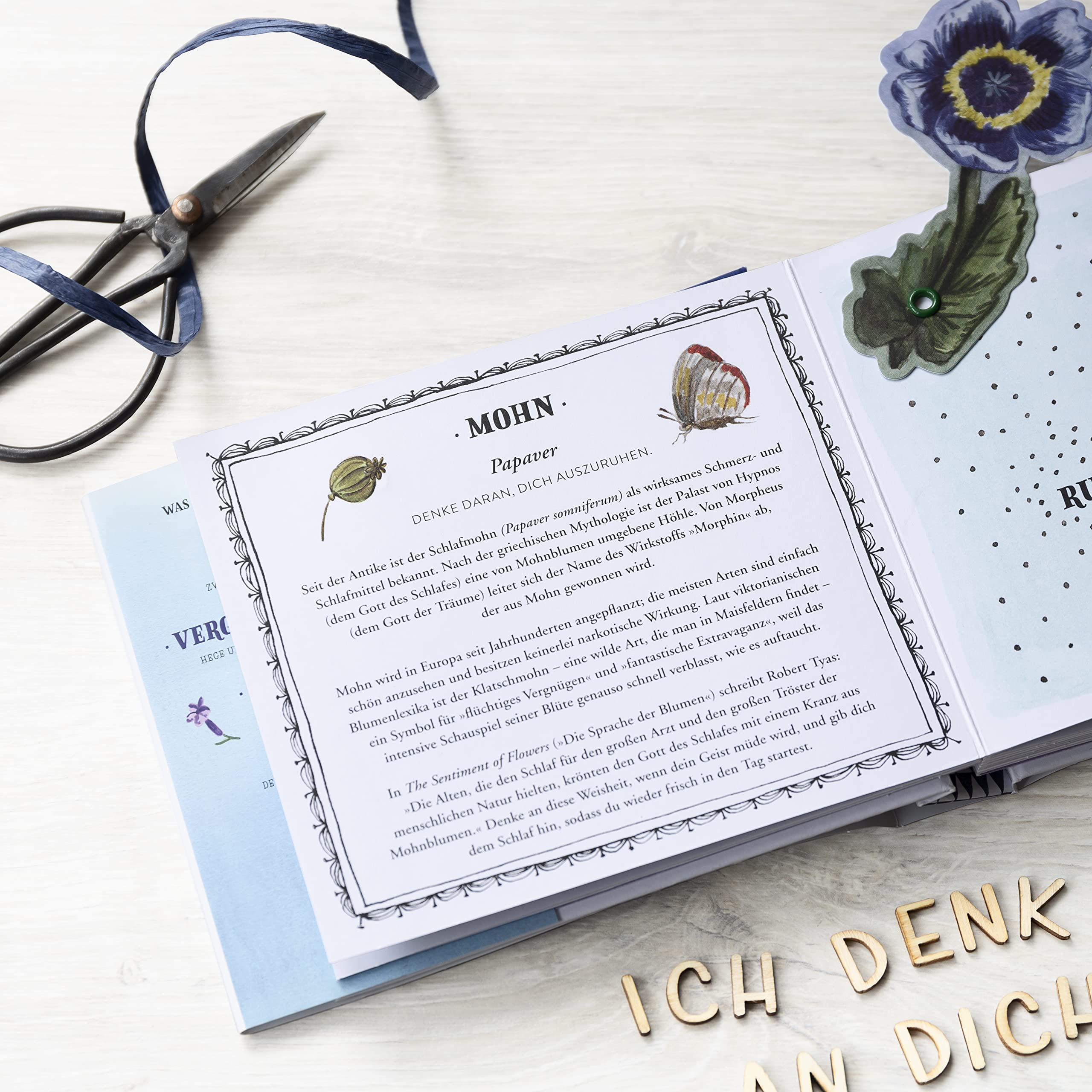 Ich denk an dich: Blumen, ihre Bedeutung und viele gute Wünsche