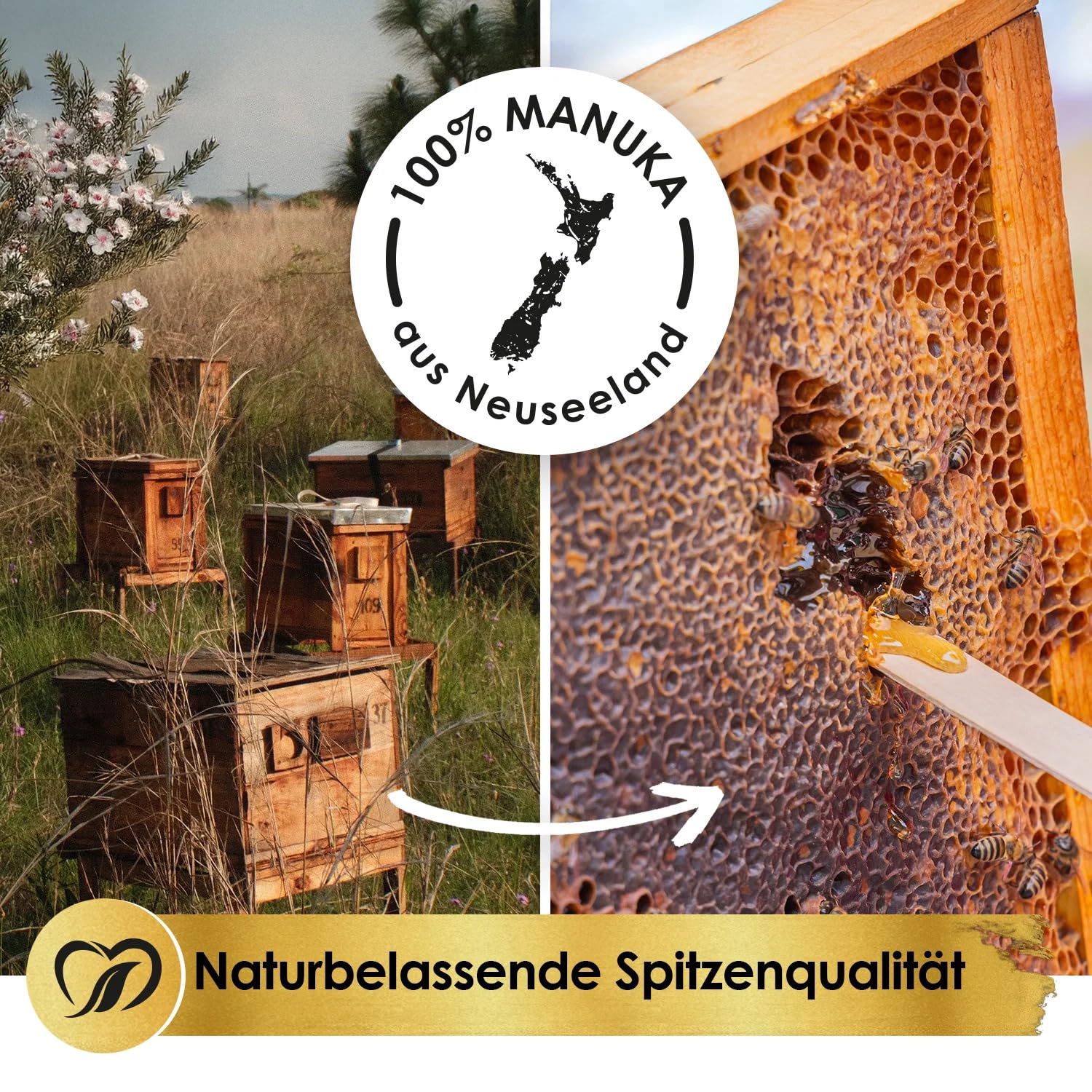 Nature Heart 4x Super Manuka Honig MGO 514+ mit Schwarzkümmelöl | Ceylon Zimt, Ingwer-, Kurkuma- & Pfefferextrakt | 100% Neuseeland | Unabhängig geprüft