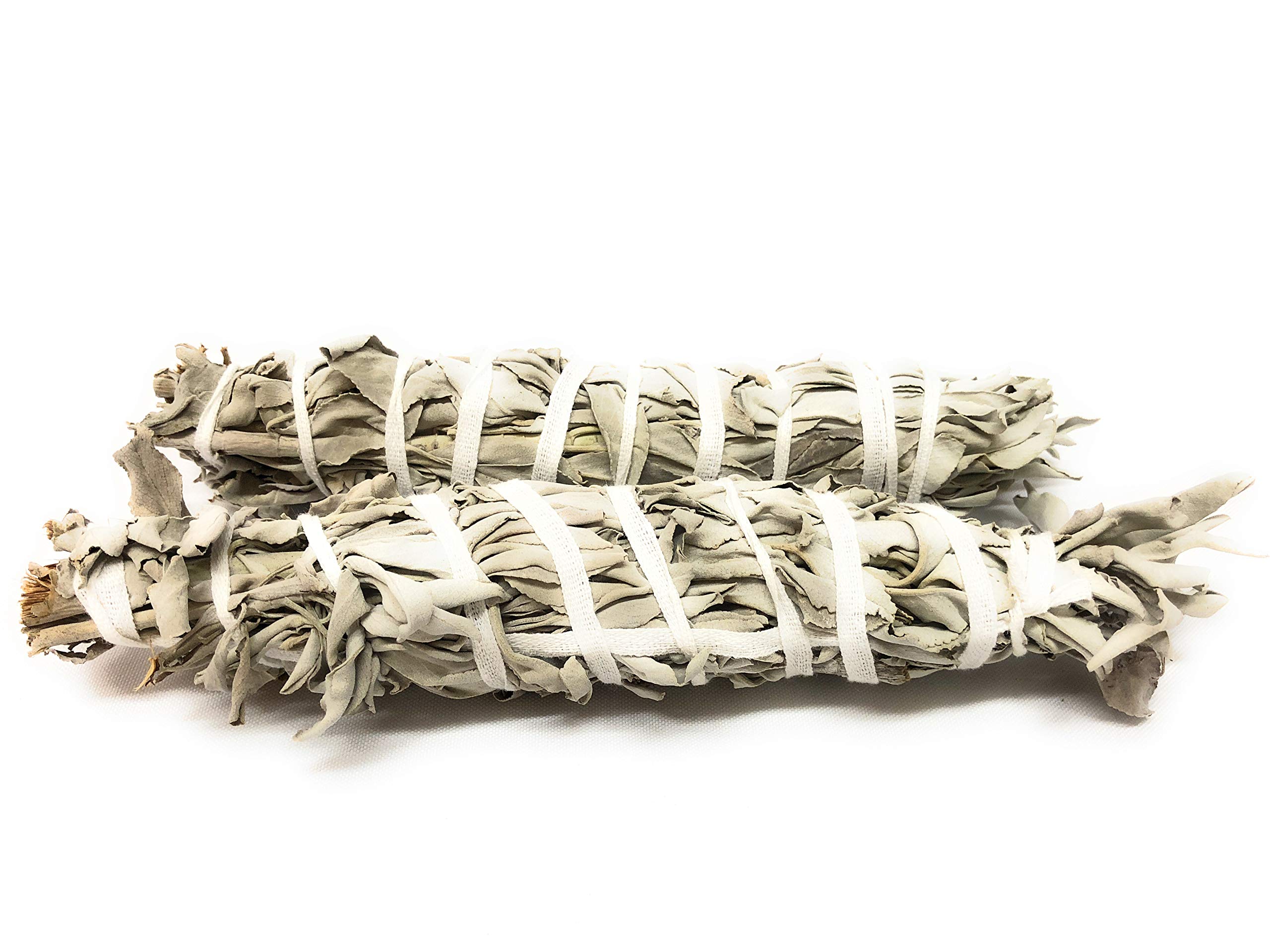 White Sage Smudging Stick - Large (8'-9.5') - 2 Pack