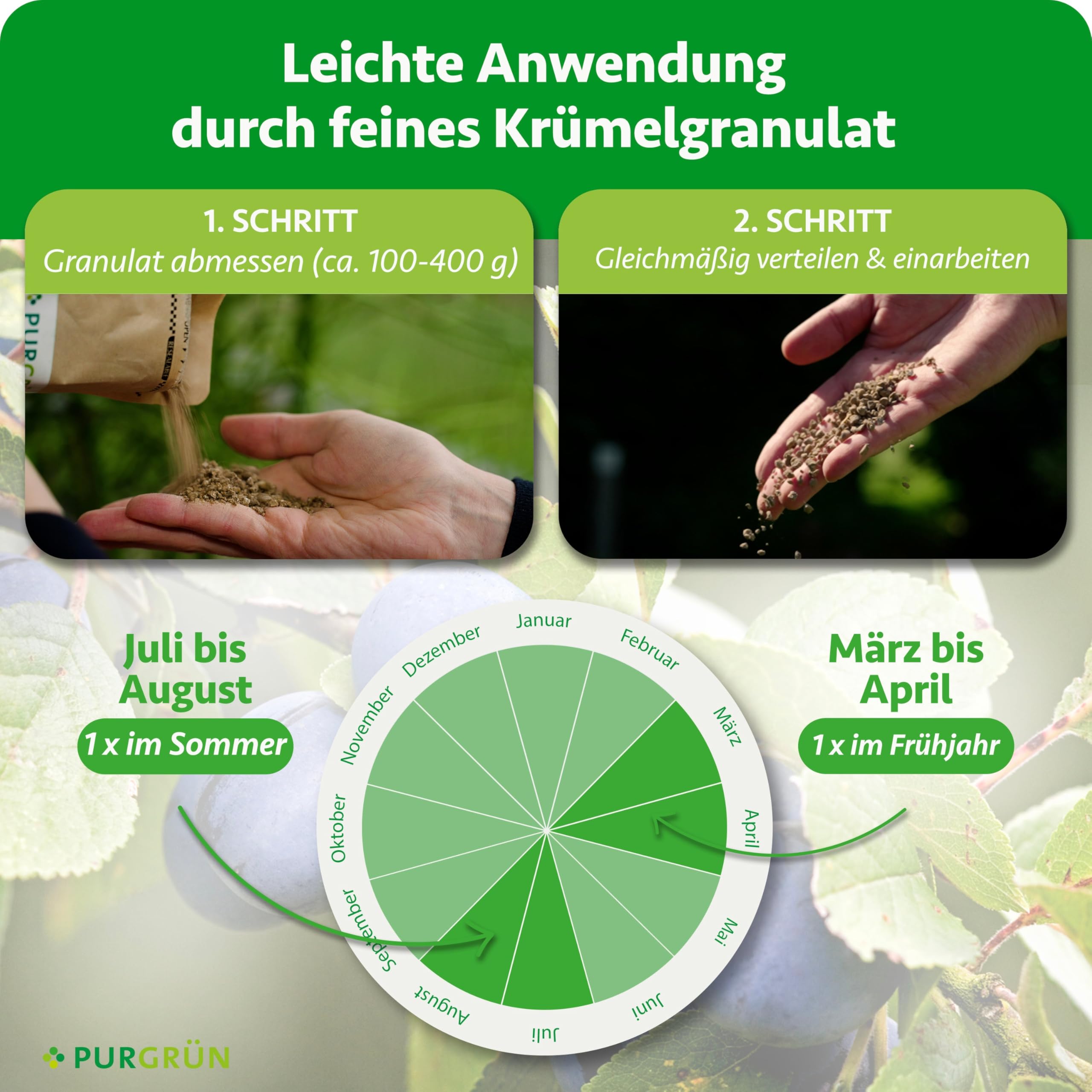 Bio-Pflaumenbaum-Dünger 1 kg – Organisch-mineralische Rezeptur – Feinkörniges Krümelgranulat – NPK 6+3+8 – Mit Magnesium für saftige, aromatische Pflaumen – Verbessert die Bodenqualität
