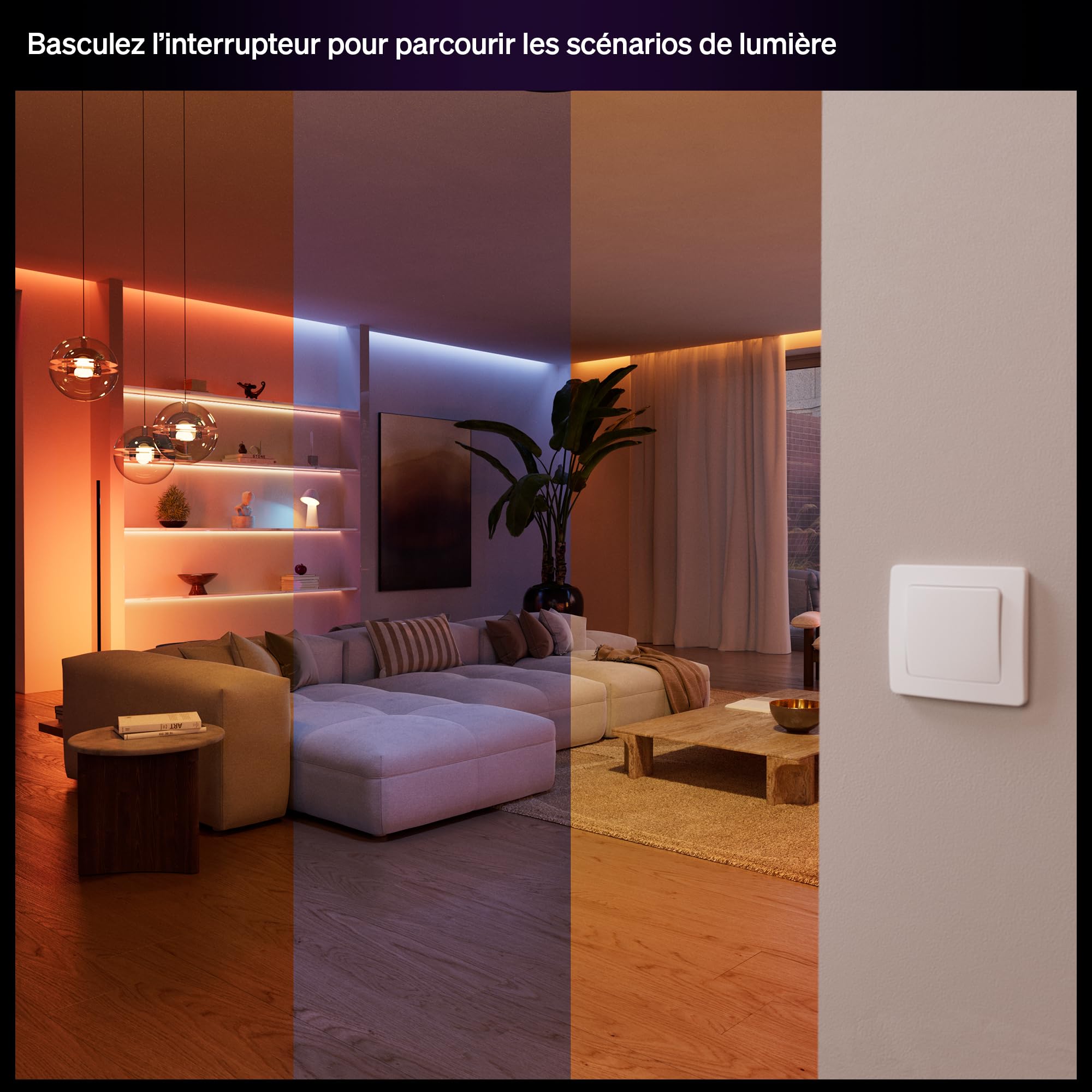 Philips Hue module d'interrupteur filaire, pack de 2